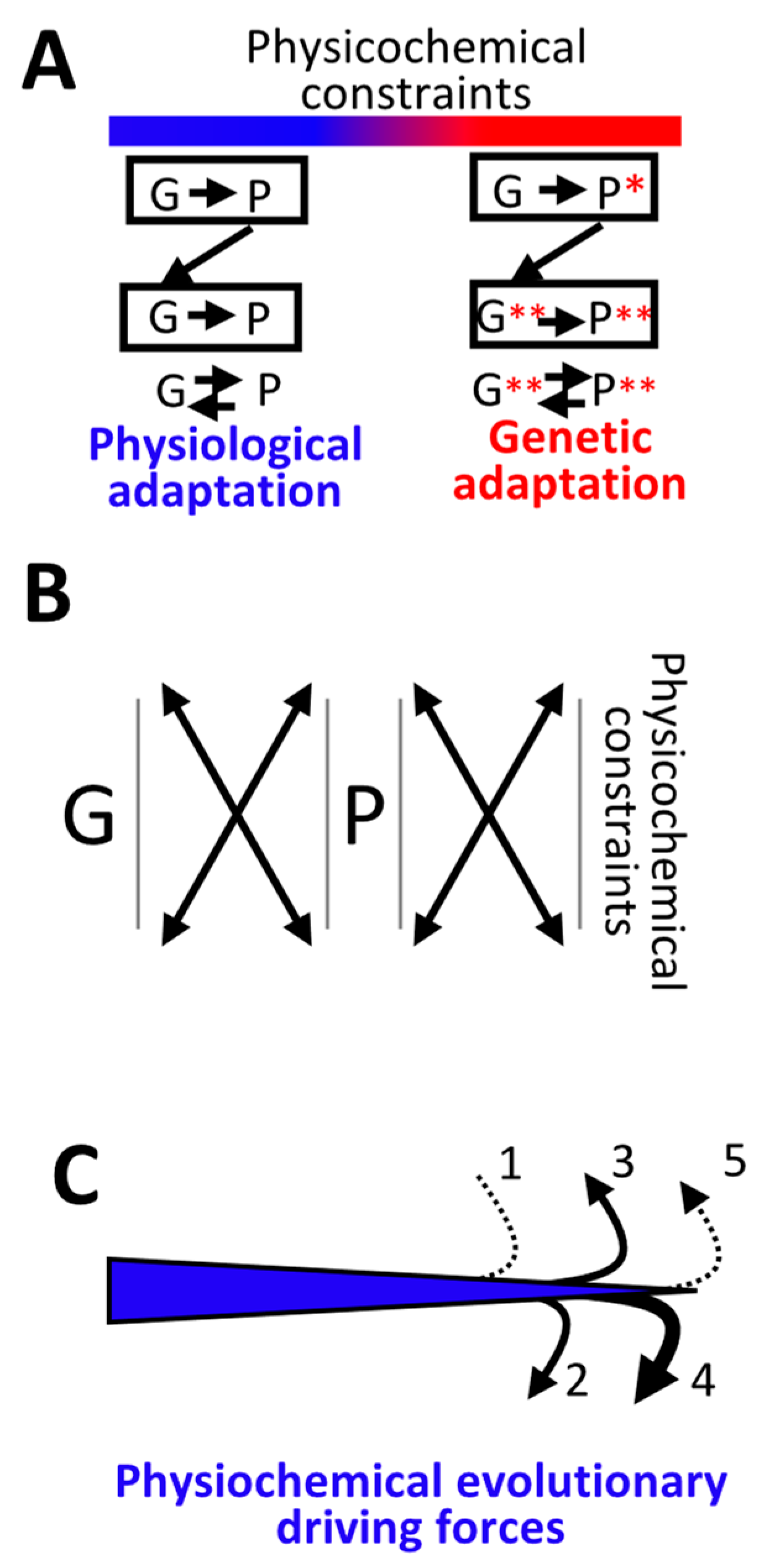 Life 10 00007 g006 Life 10 00007 g006