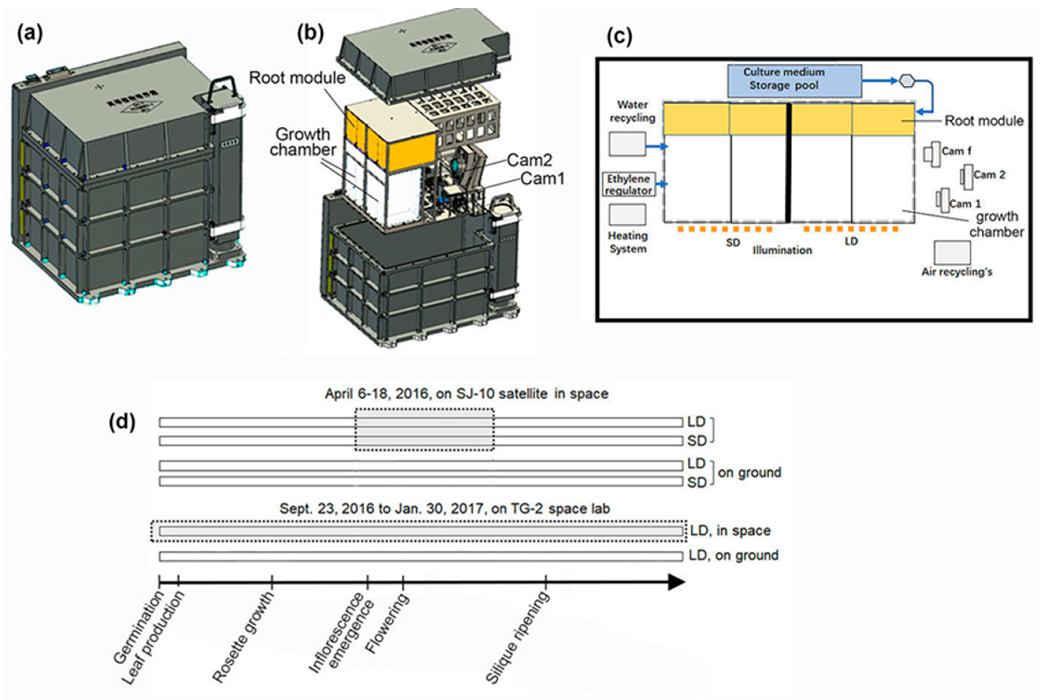 Life 10 00026 g001 Life 10 00026 g001
