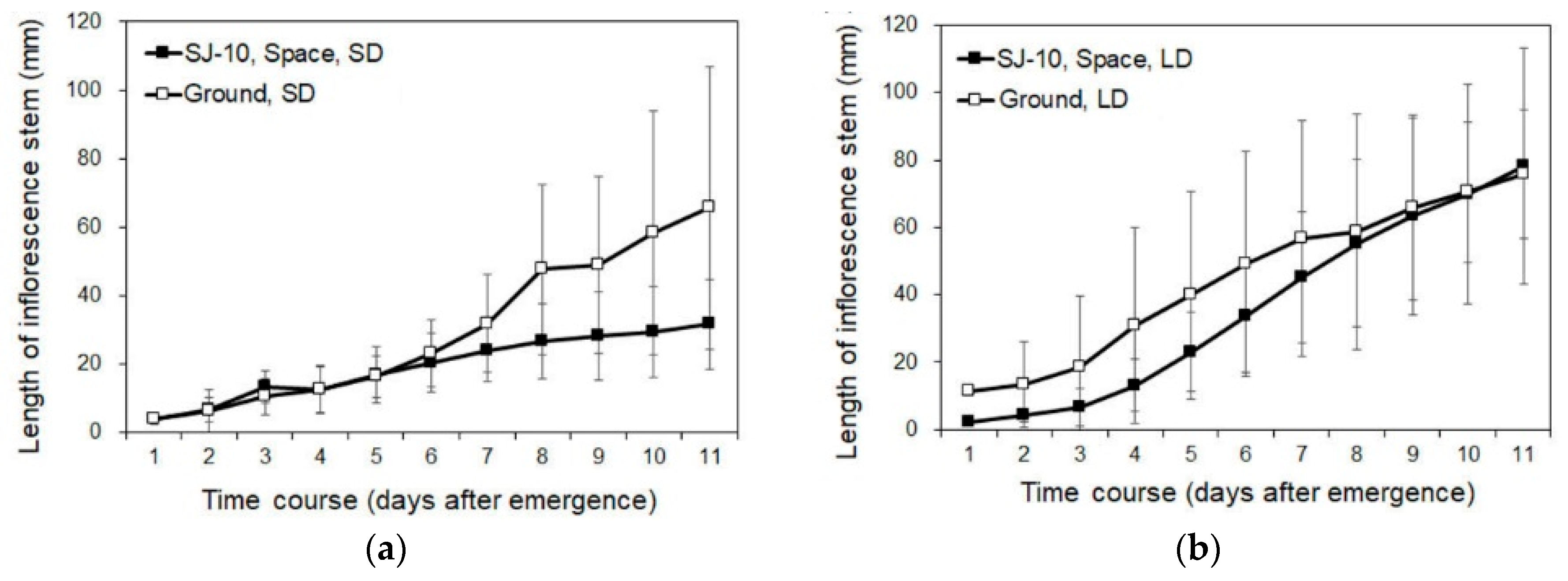 Life 10 00026 g003 Life 10 00026 g003