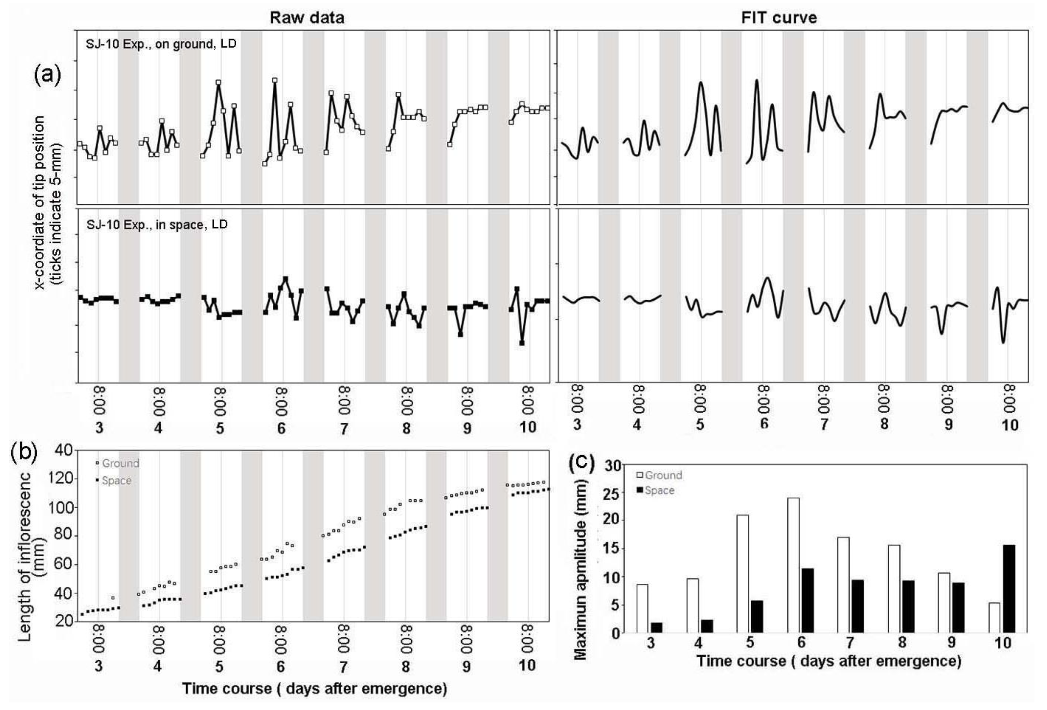 Life 10 00026 g004 Life 10 00026 g004