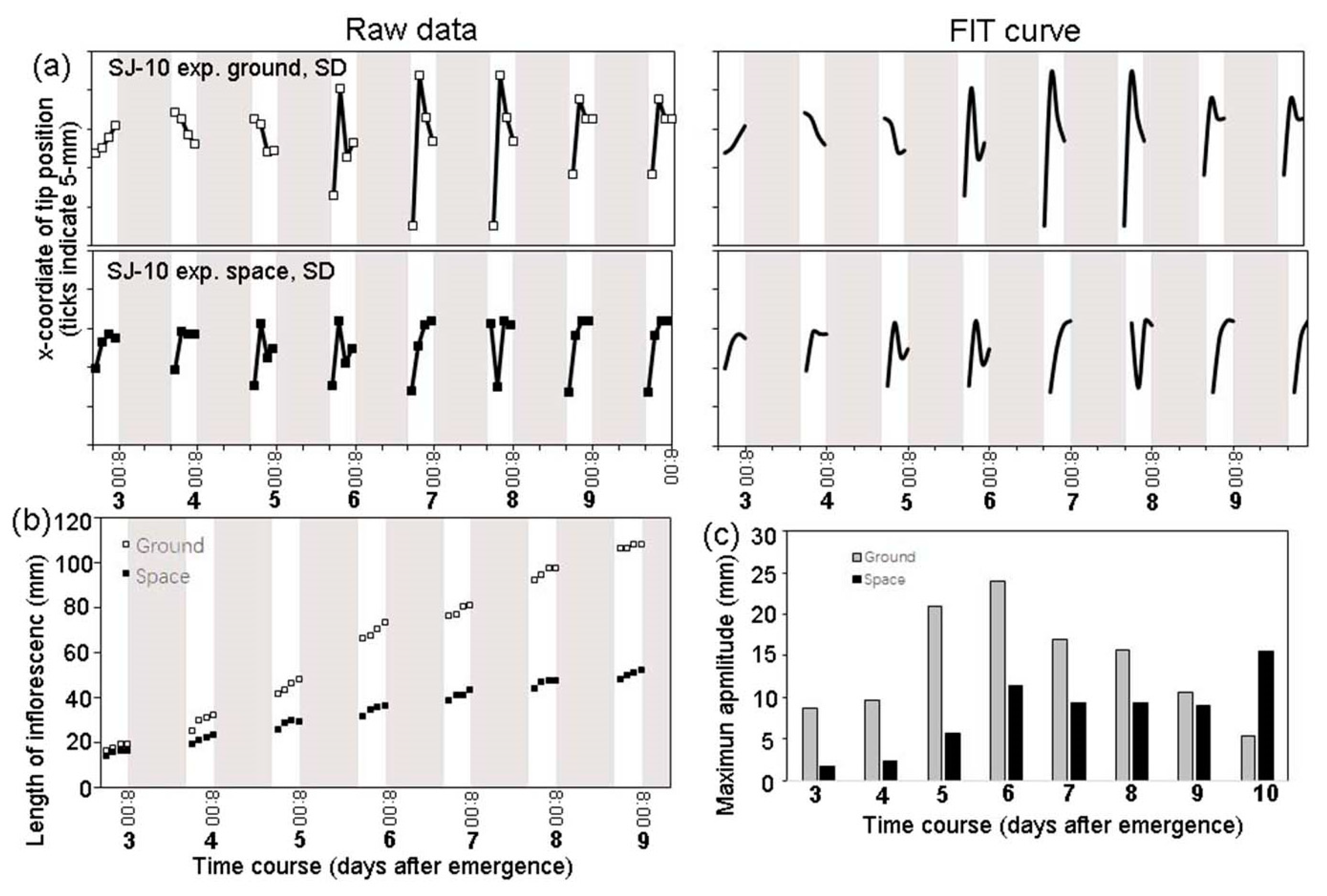Life 10 00026 g005 Life 10 00026 g005