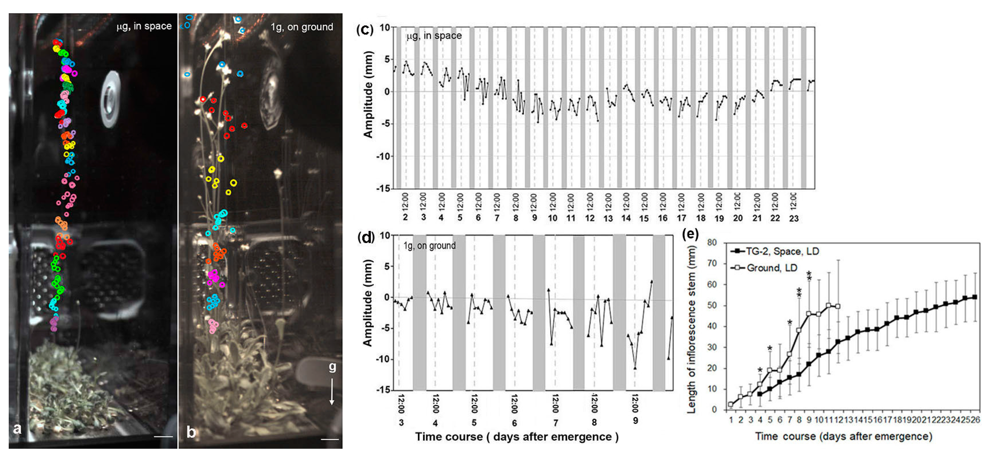 Life 10 00026 g006 Life 10 00026 g006