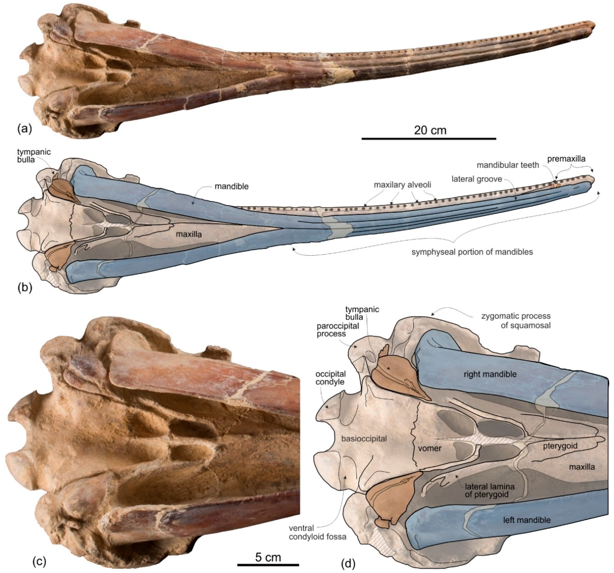 Life 10 00027 g003 Life 10 00027 g003