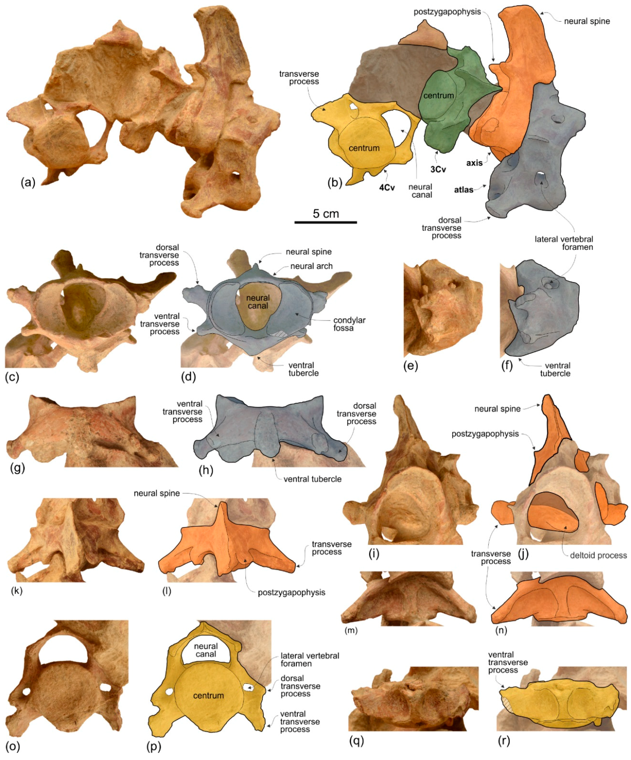 Life 10 00027 g009 Life 10 00027 g009