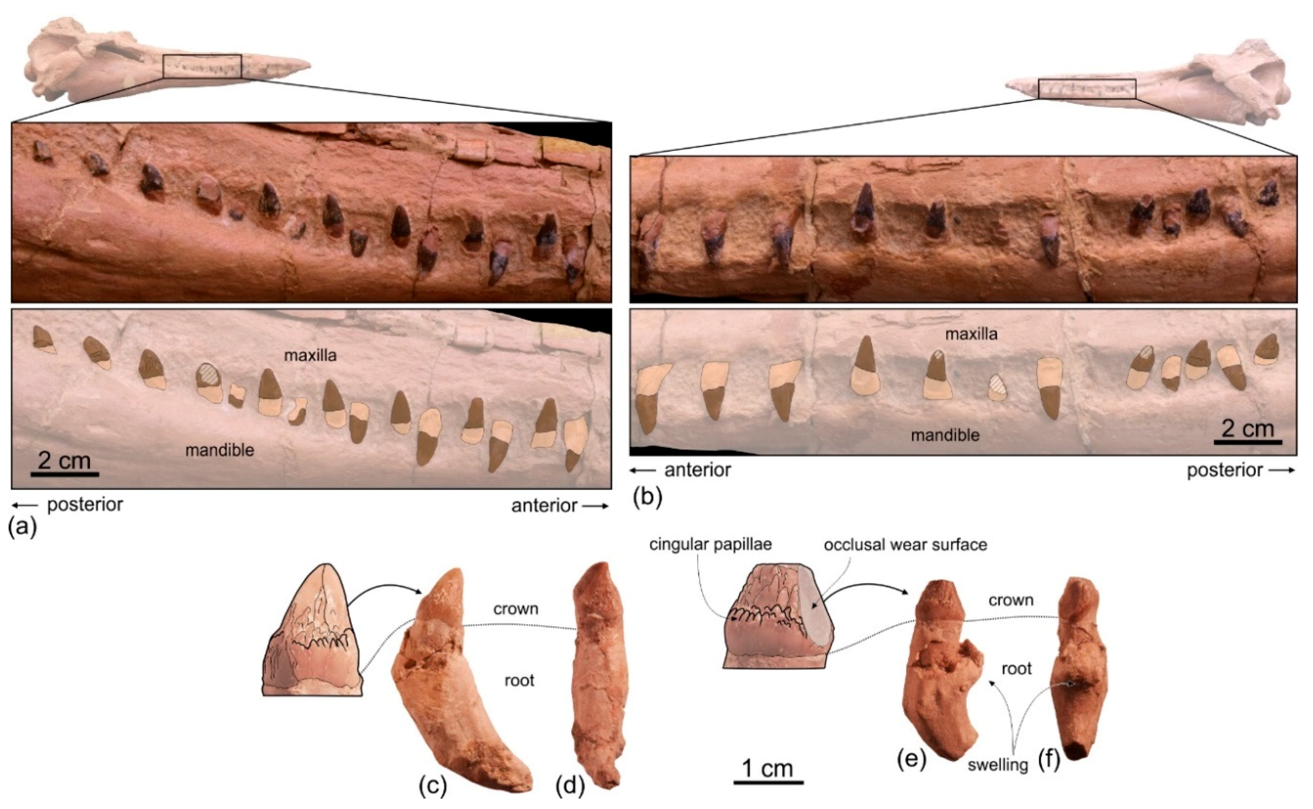 Life 10 00027 g015 Life 10 00027 g015