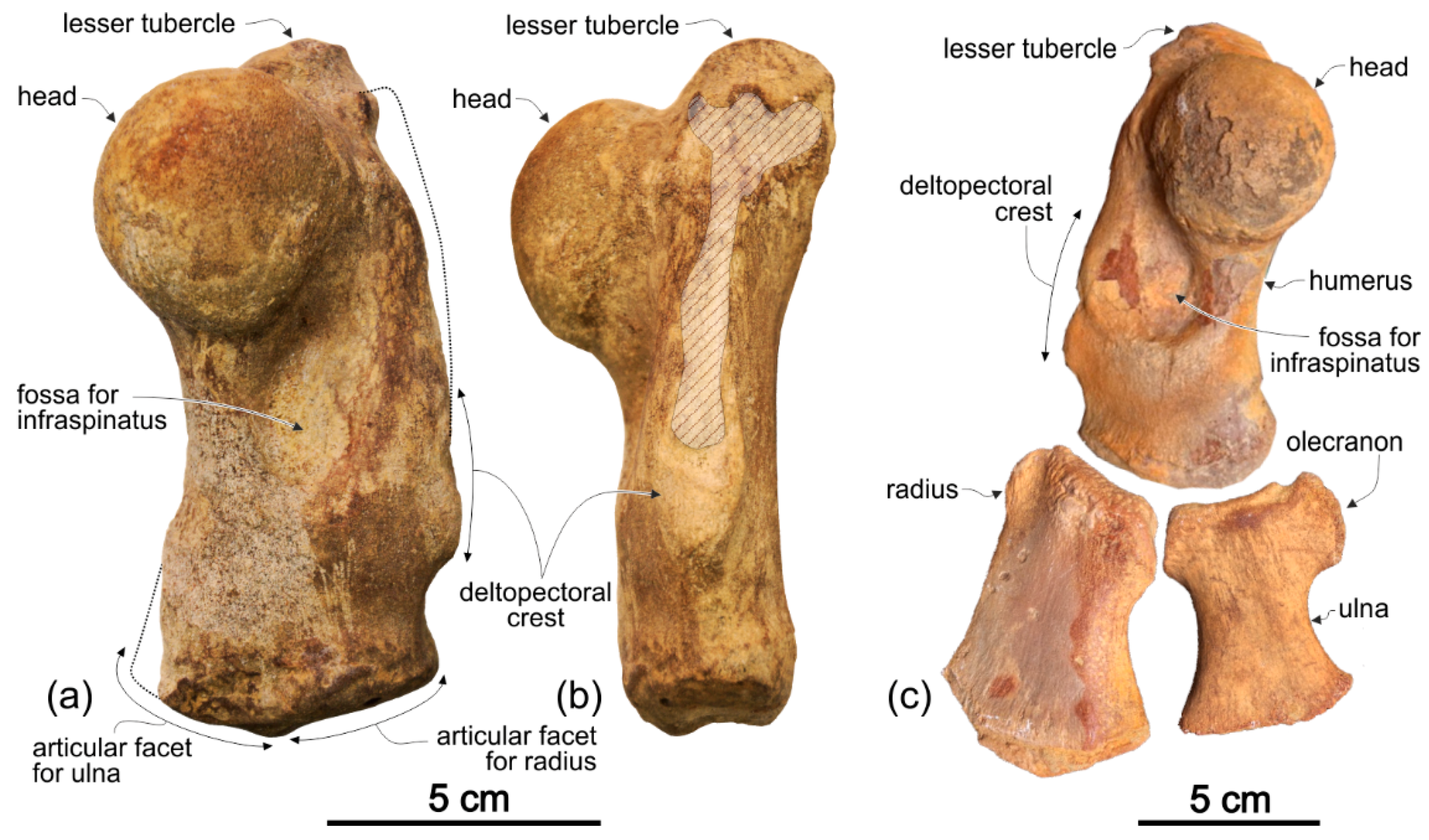 Life 10 00027 g017 Life 10 00027 g017