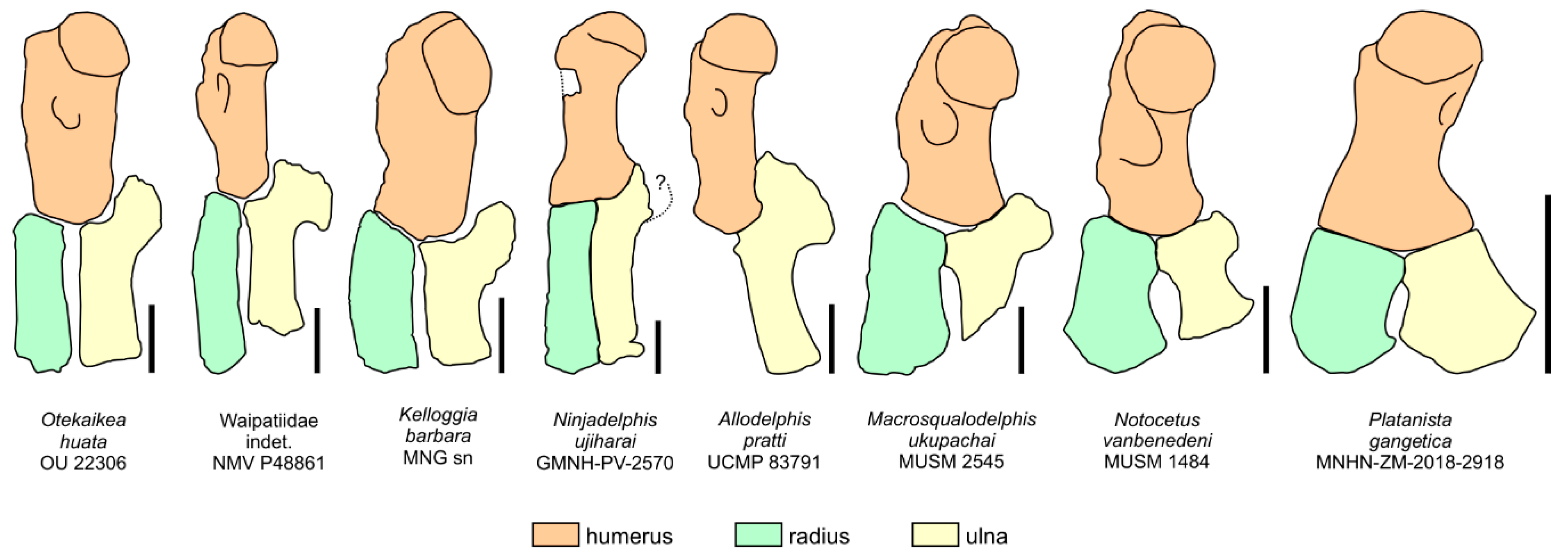 Life 10 00027 g018 Life 10 00027 g018