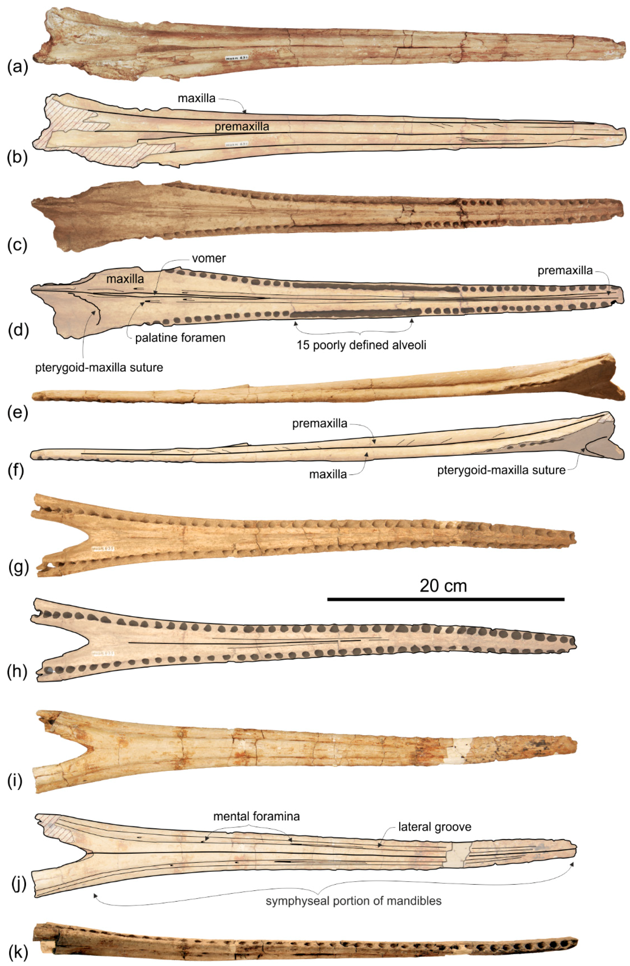 Life 10 00027 g020 Life 10 00027 g020