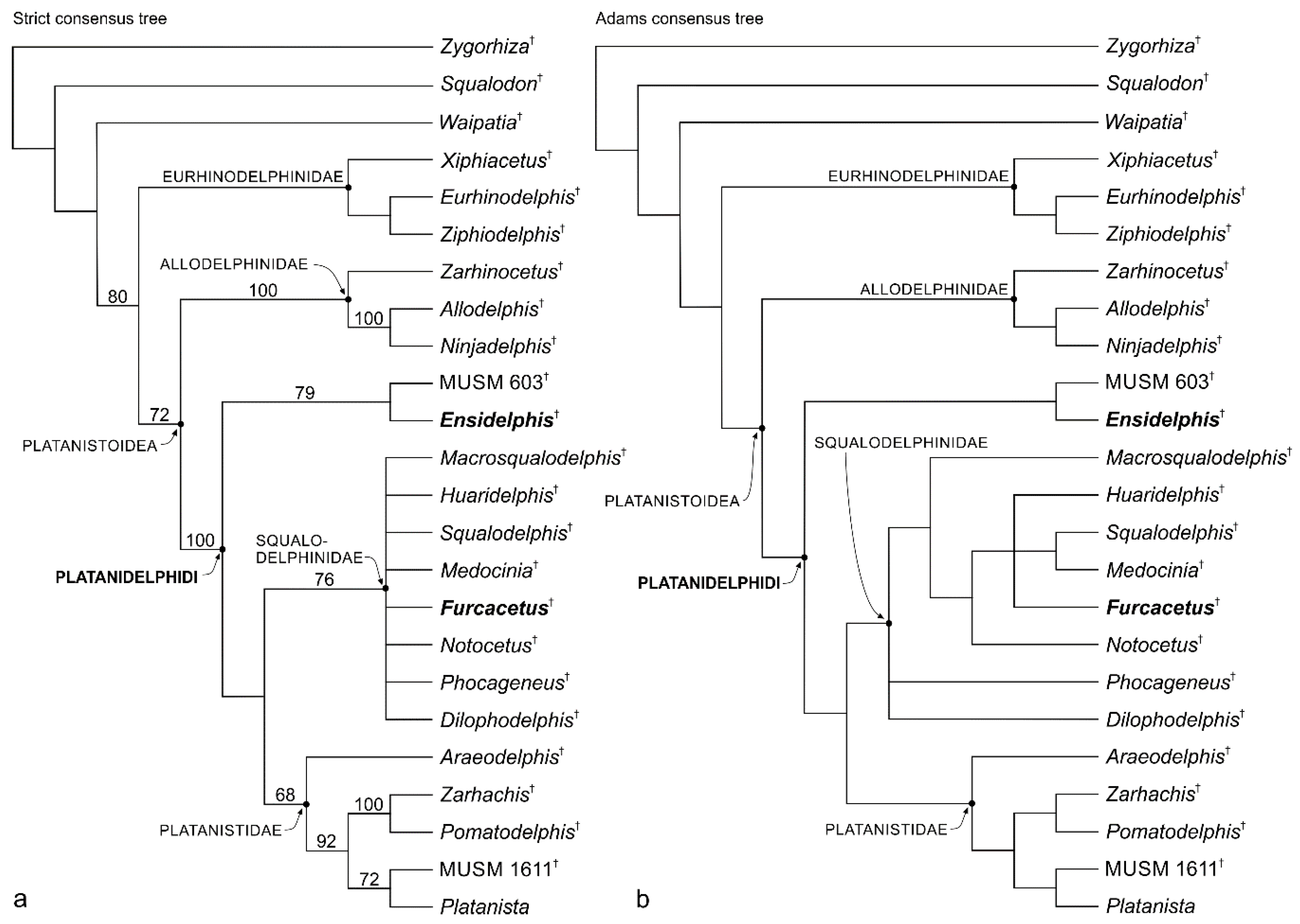Life 10 00027 g021 Life 10 00027 g021