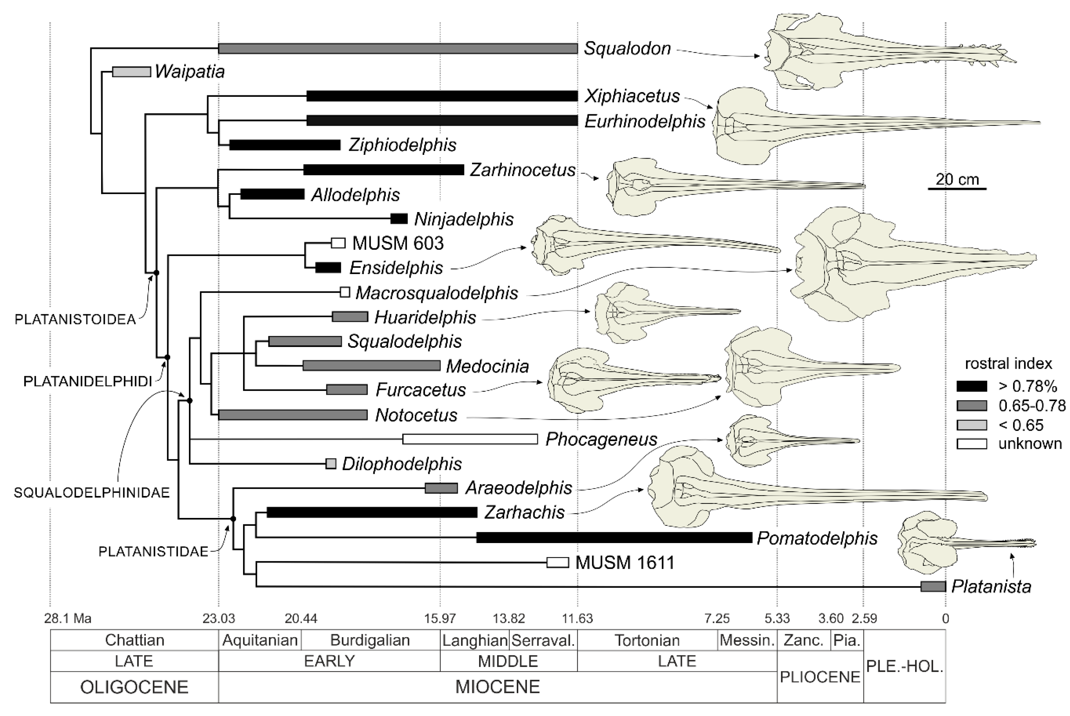 Life 10 00027 g022 Life 10 00027 g022