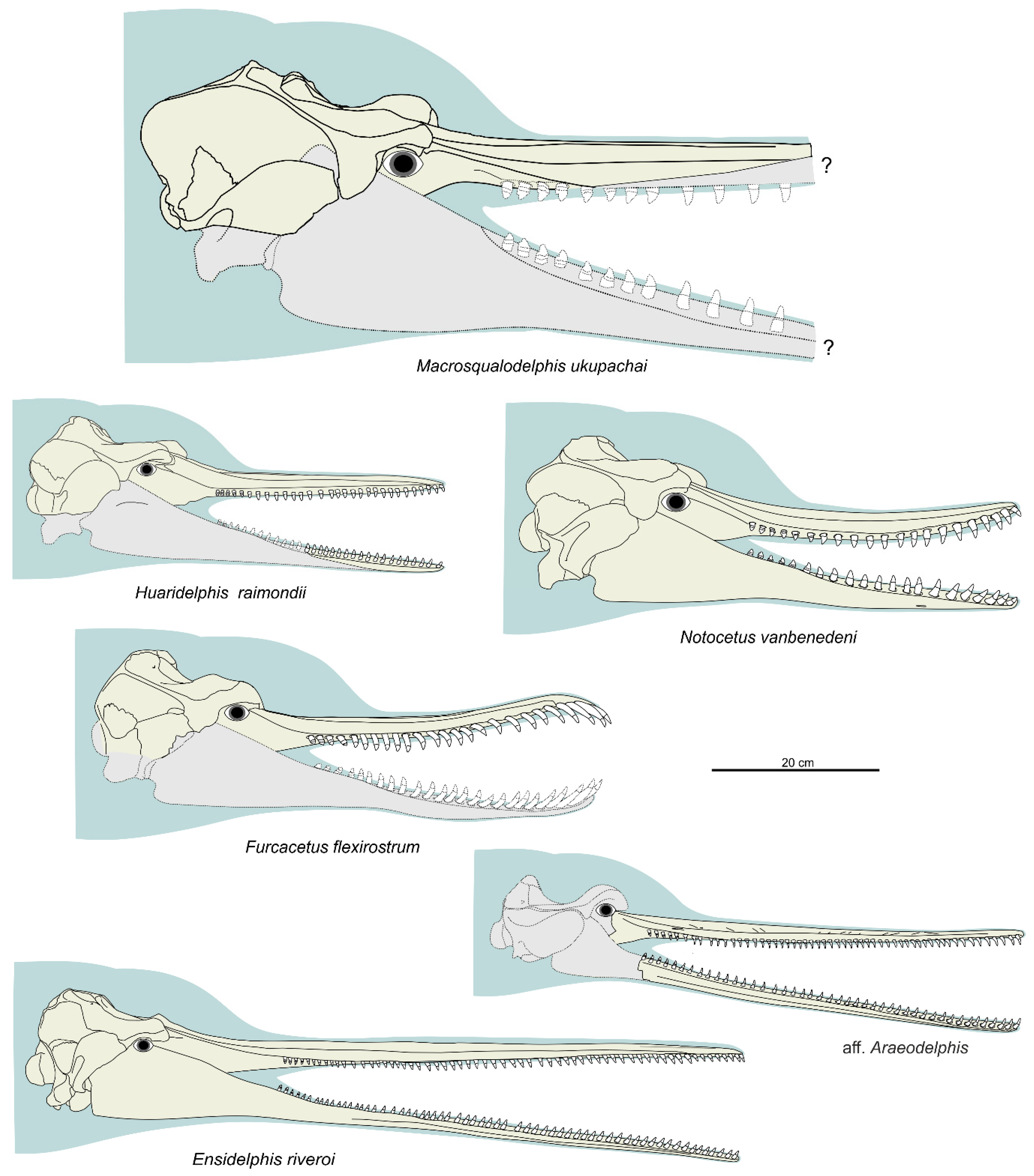 Life 10 00027 g023 Life 10 00027 g023