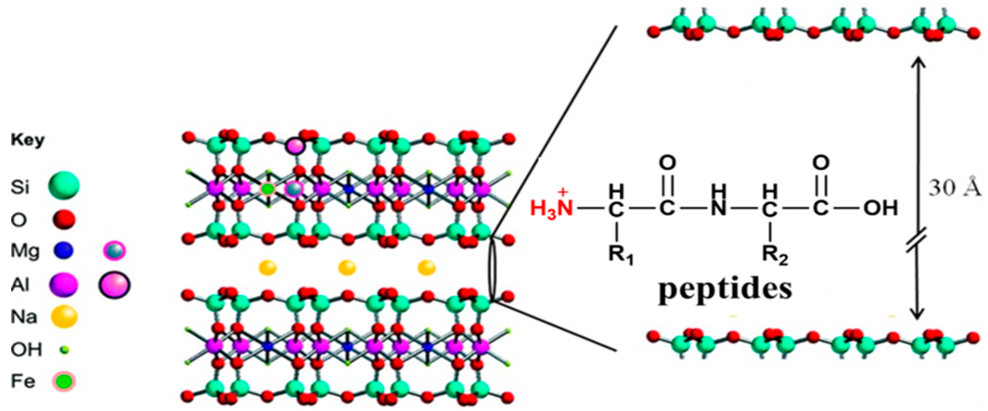 Life 10 00045 g007 Life 10 00045 g007