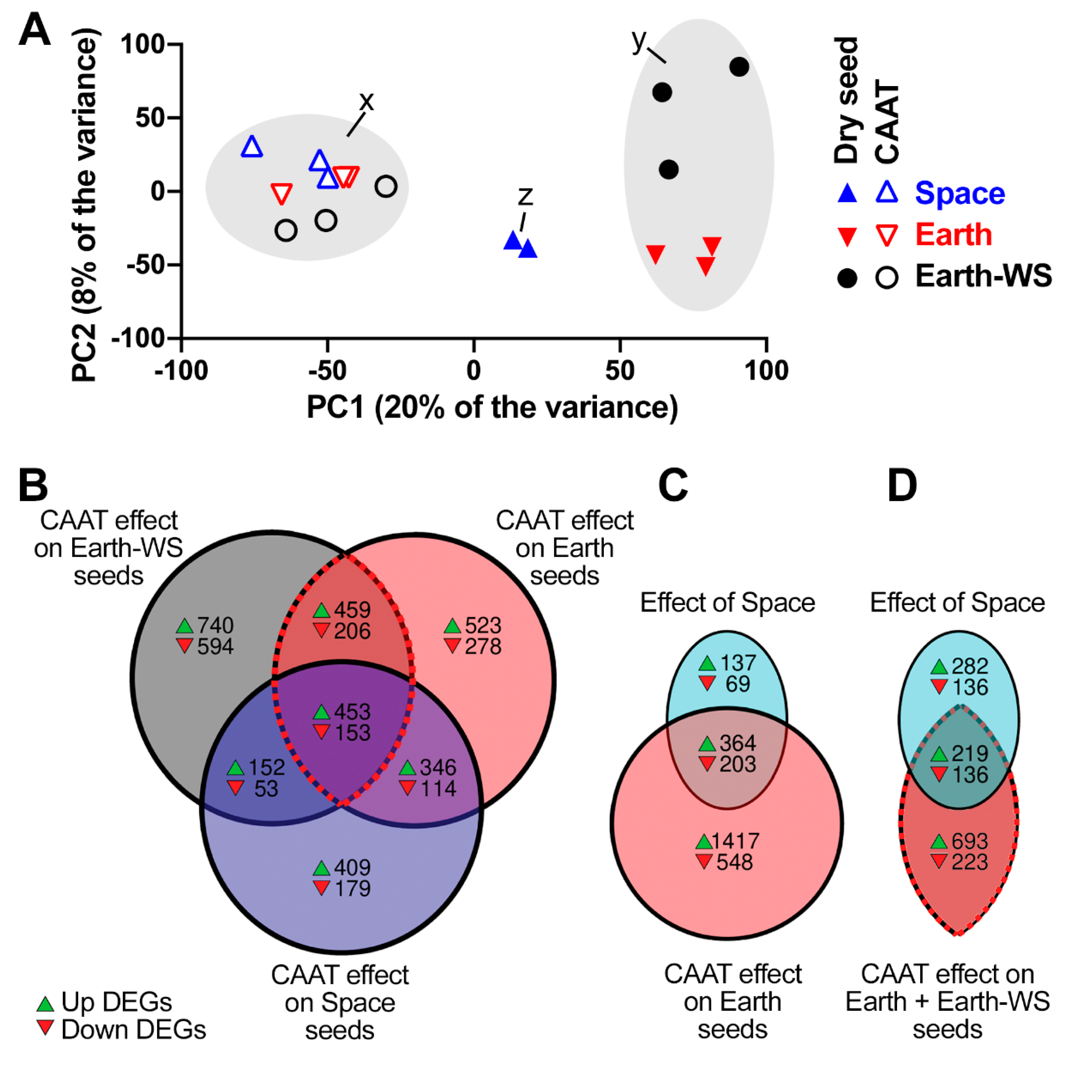 Life 10 00049 g003 Life 10 00049 g003