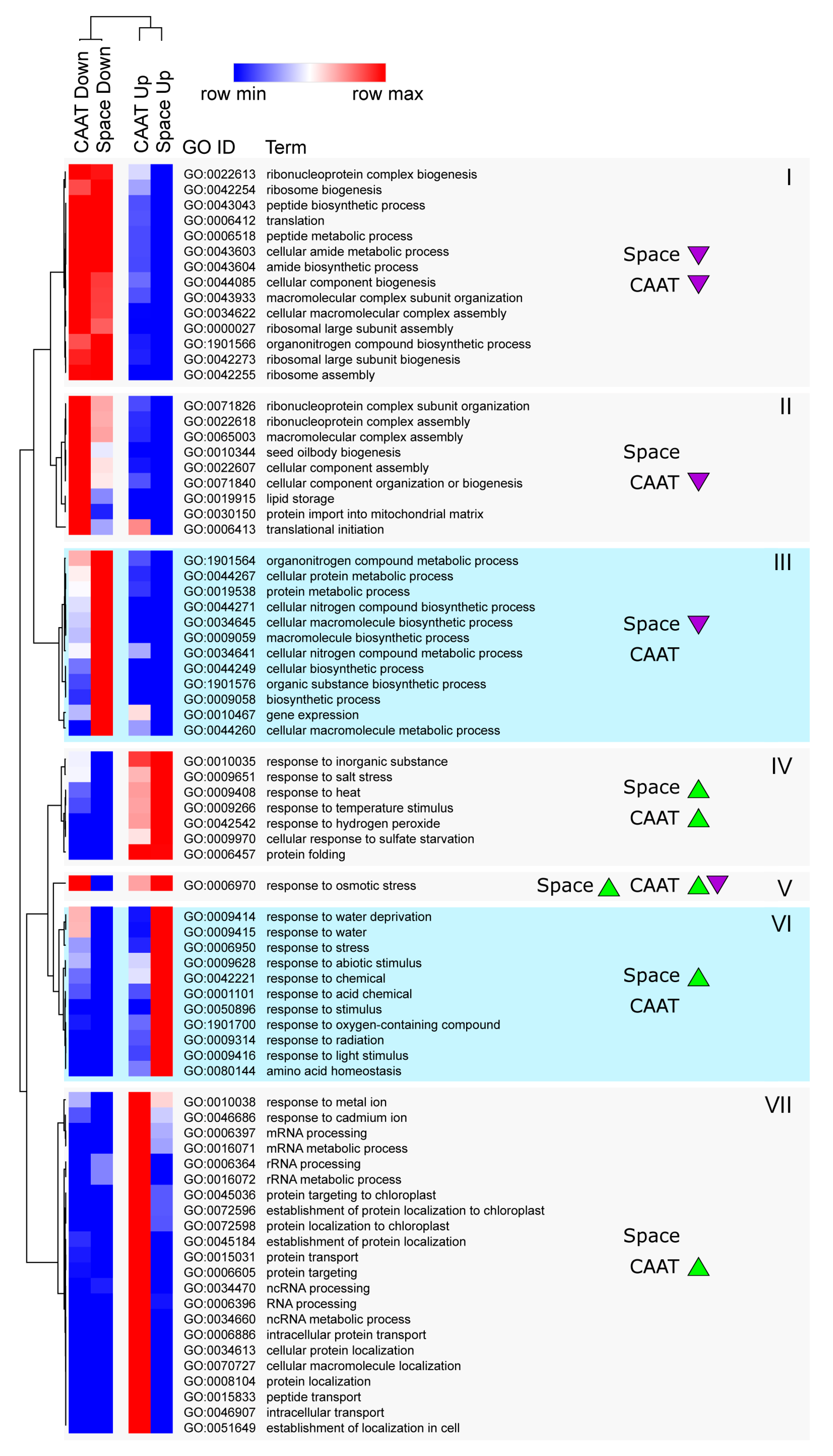 Life 10 00049 g004 Life 10 00049 g004