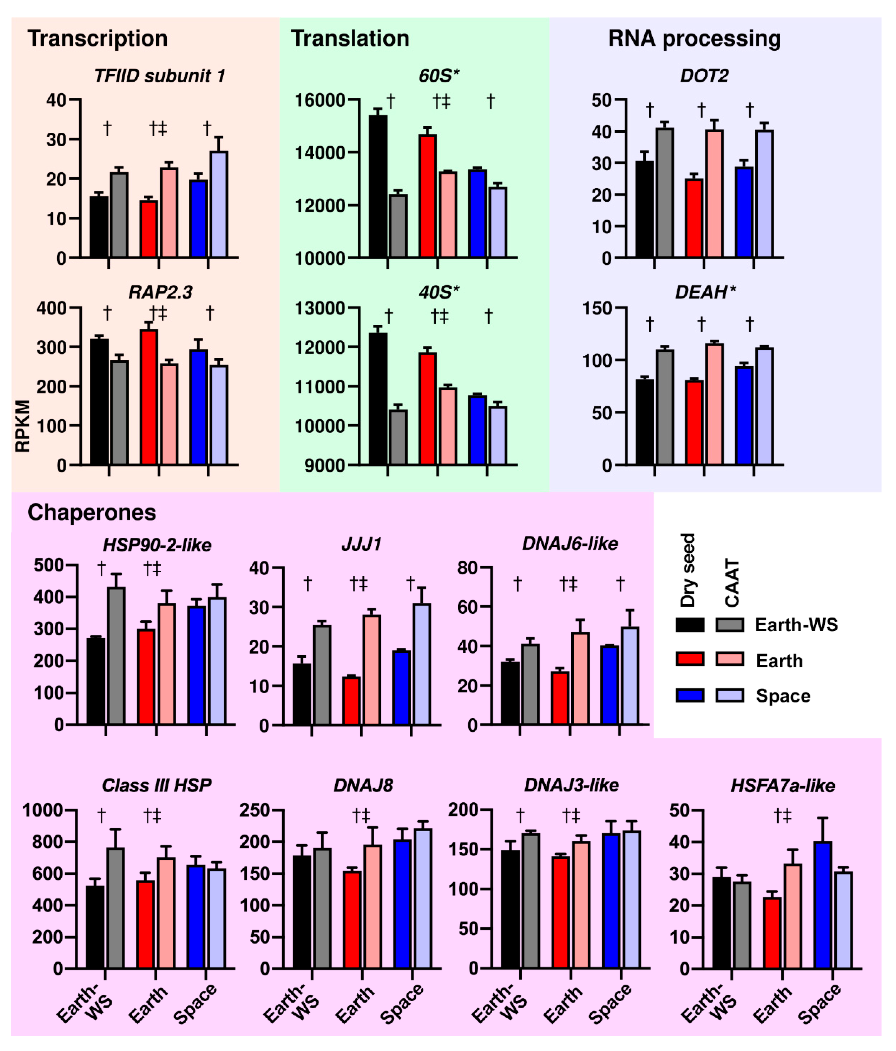 Life 10 00049 g005 Life 10 00049 g005