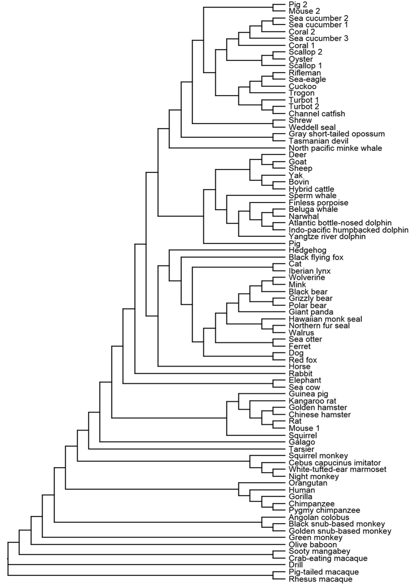 Life 10 00050 sch001