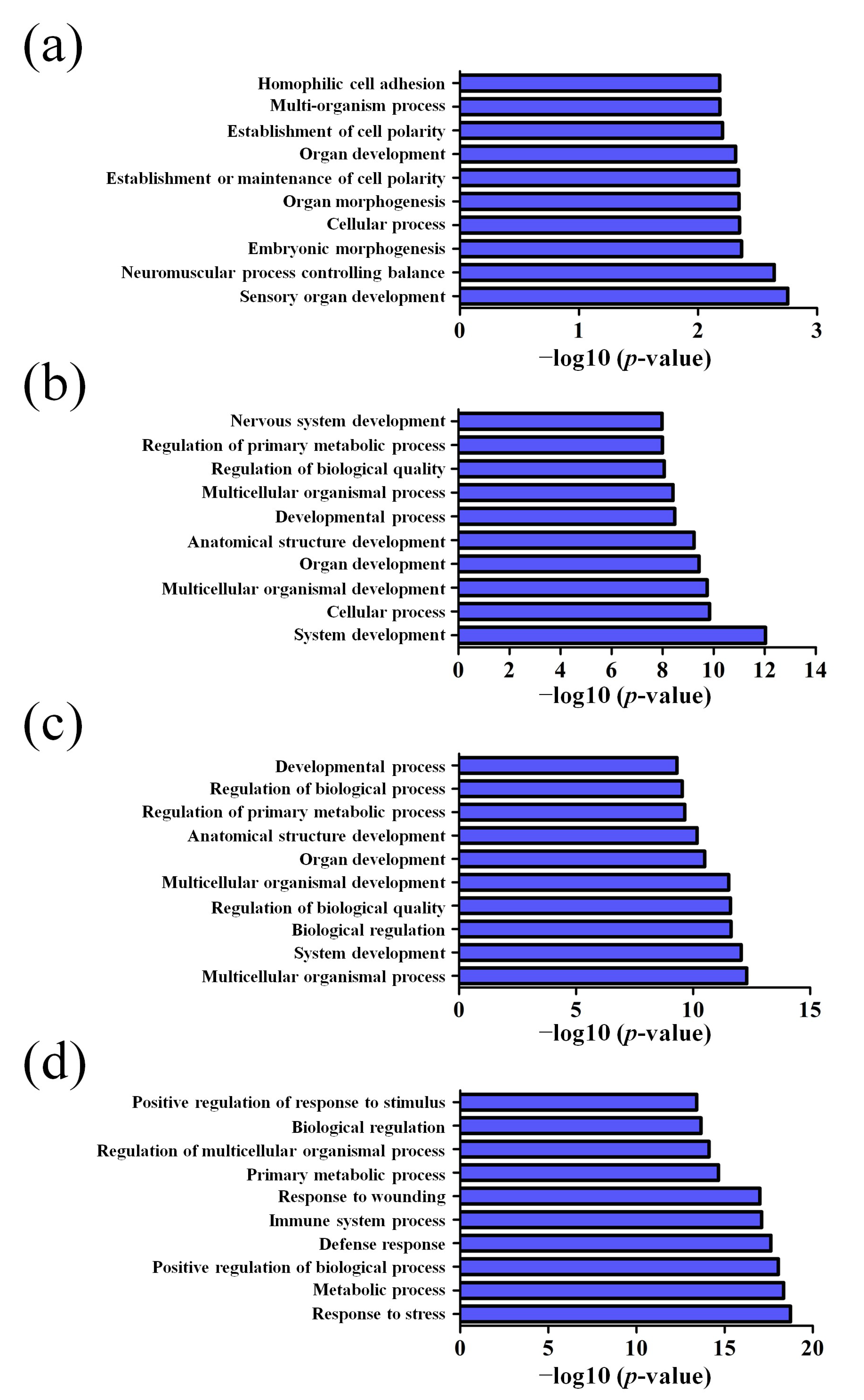 Life 10 00064 g008 Life 10 00064 g008