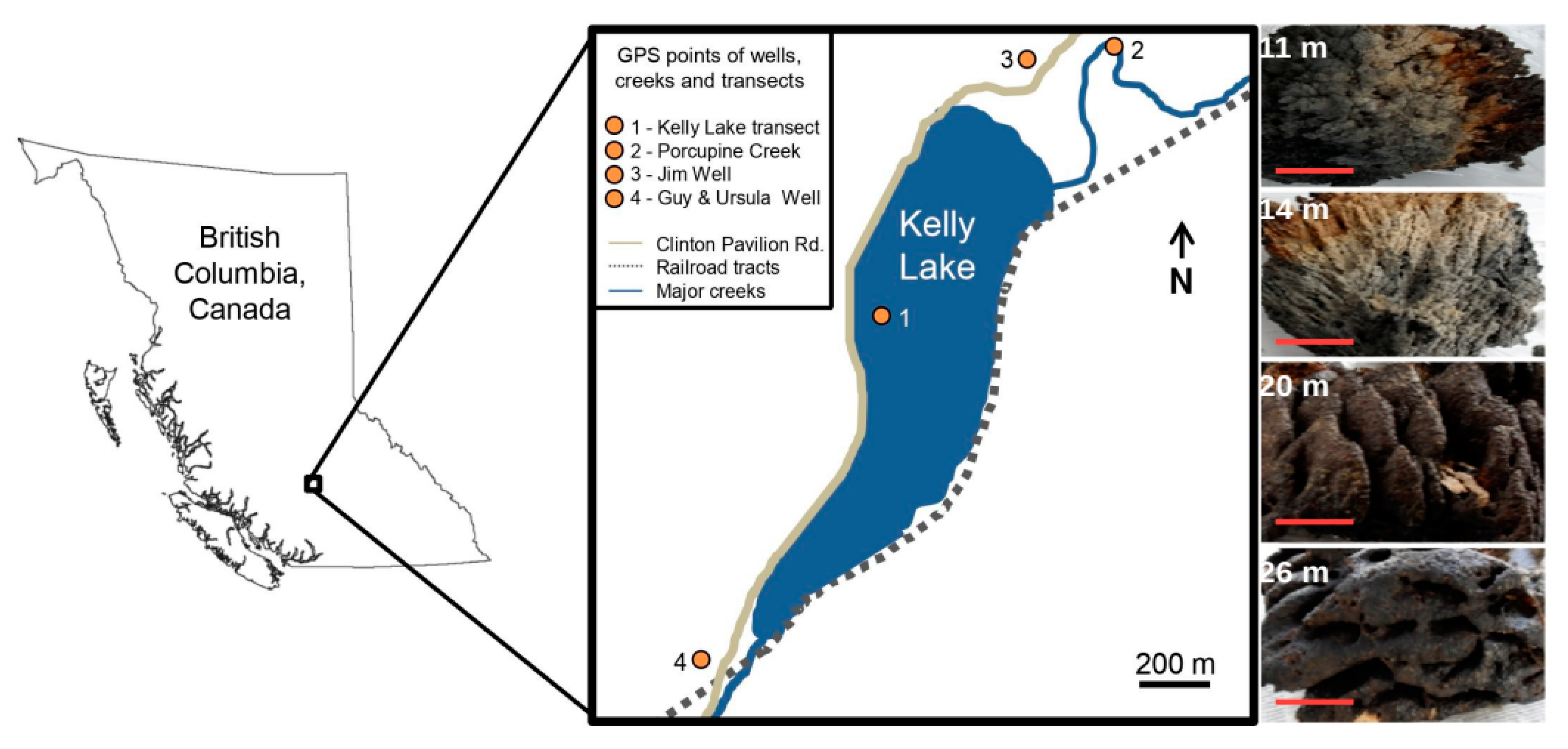 Life 10 00066 g001 Life 10 00066 g001