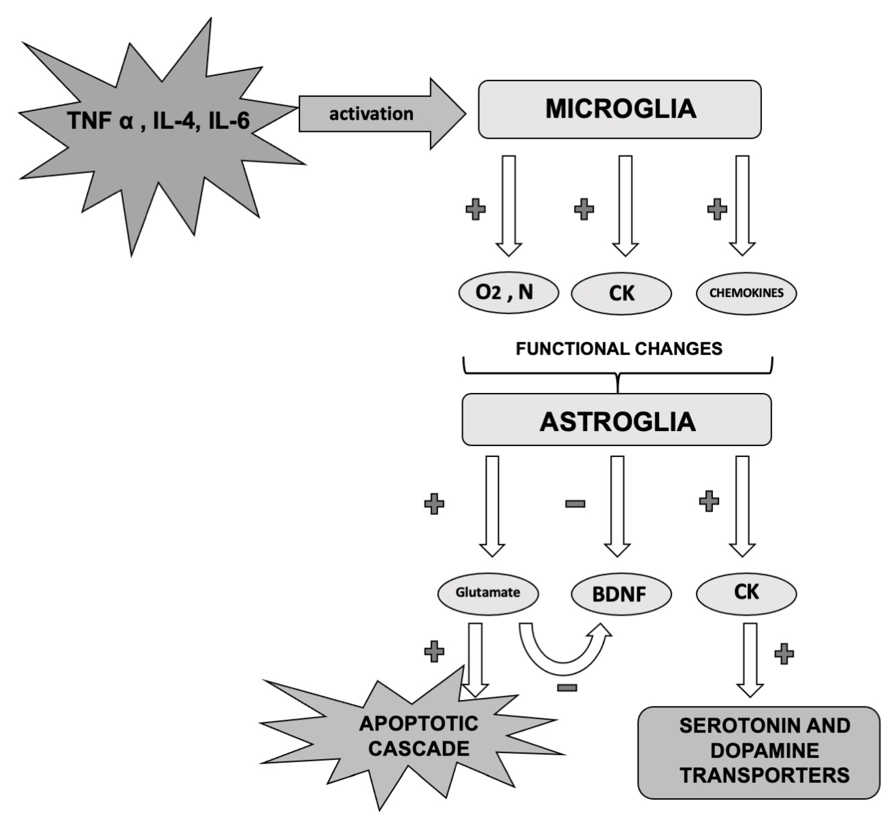 Life 10 00082 g003 Life 10 00082 g003