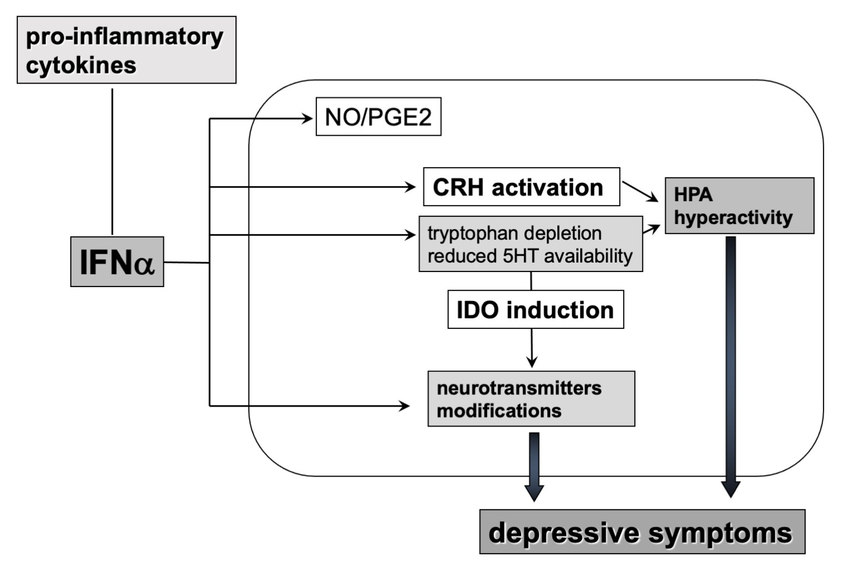 Life 10 00082 g004 Life 10 00082 g004
