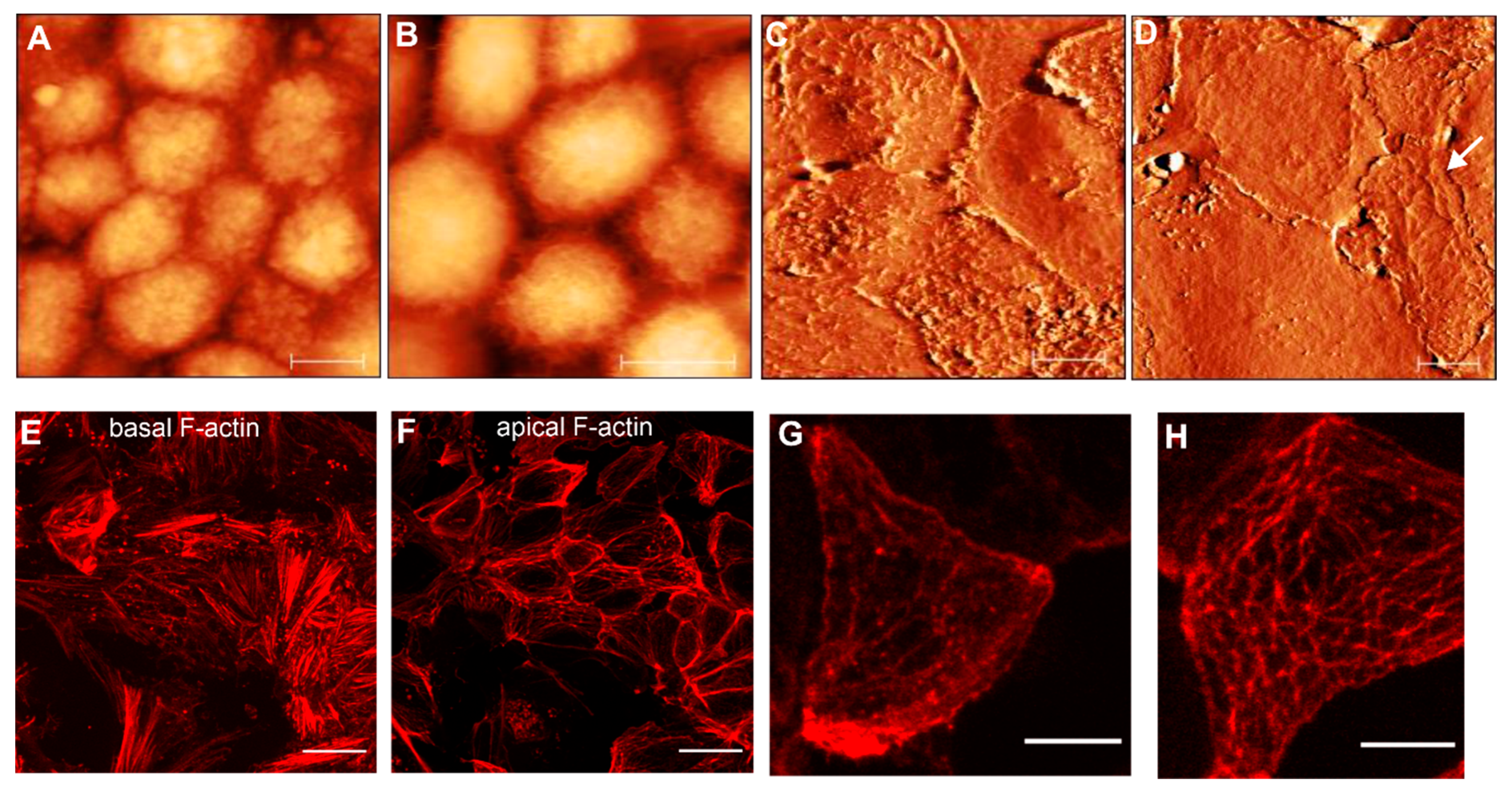 Life 10 00128 g005 Life 10 00128 g005