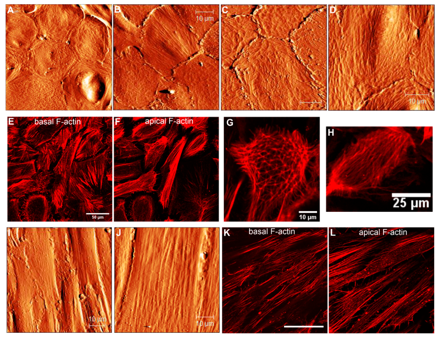 Life 10 00128 g006 Life 10 00128 g006
