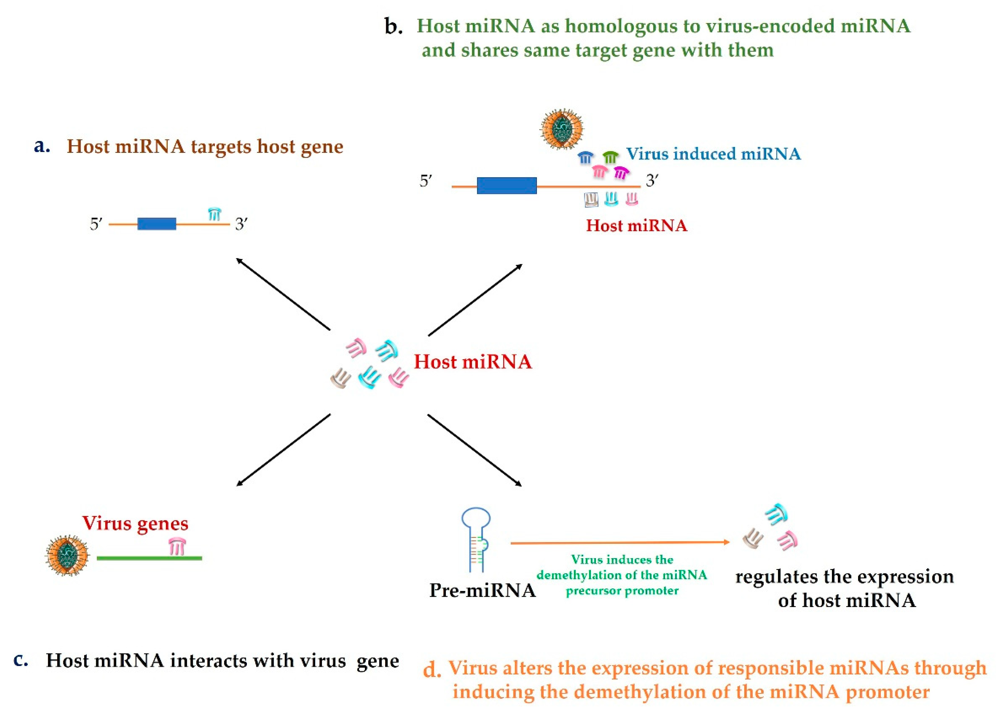 Life 10 00148 g002 Life 10 00148 g002