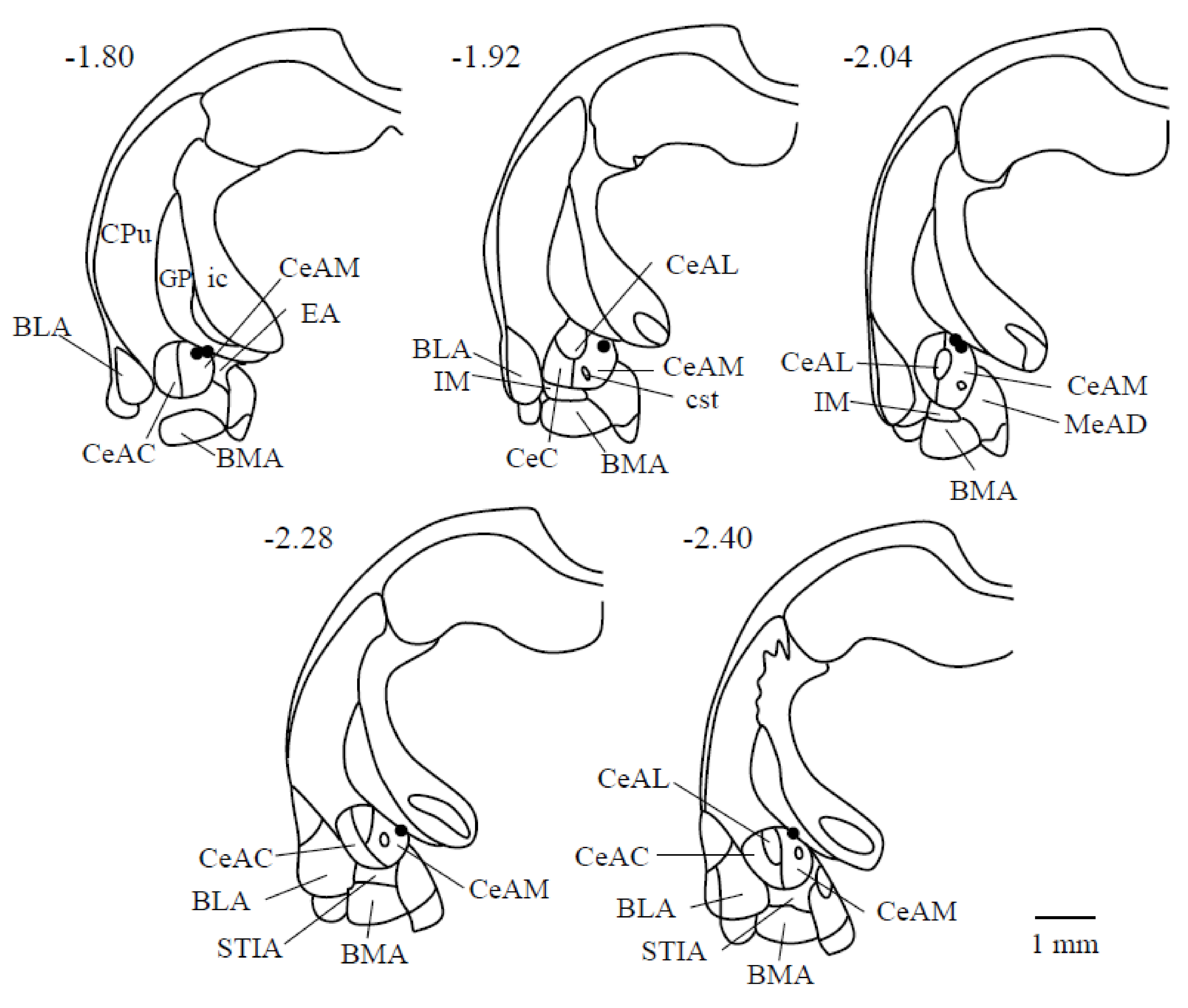 Life 10 00190 g001 Life 10 00190 g001