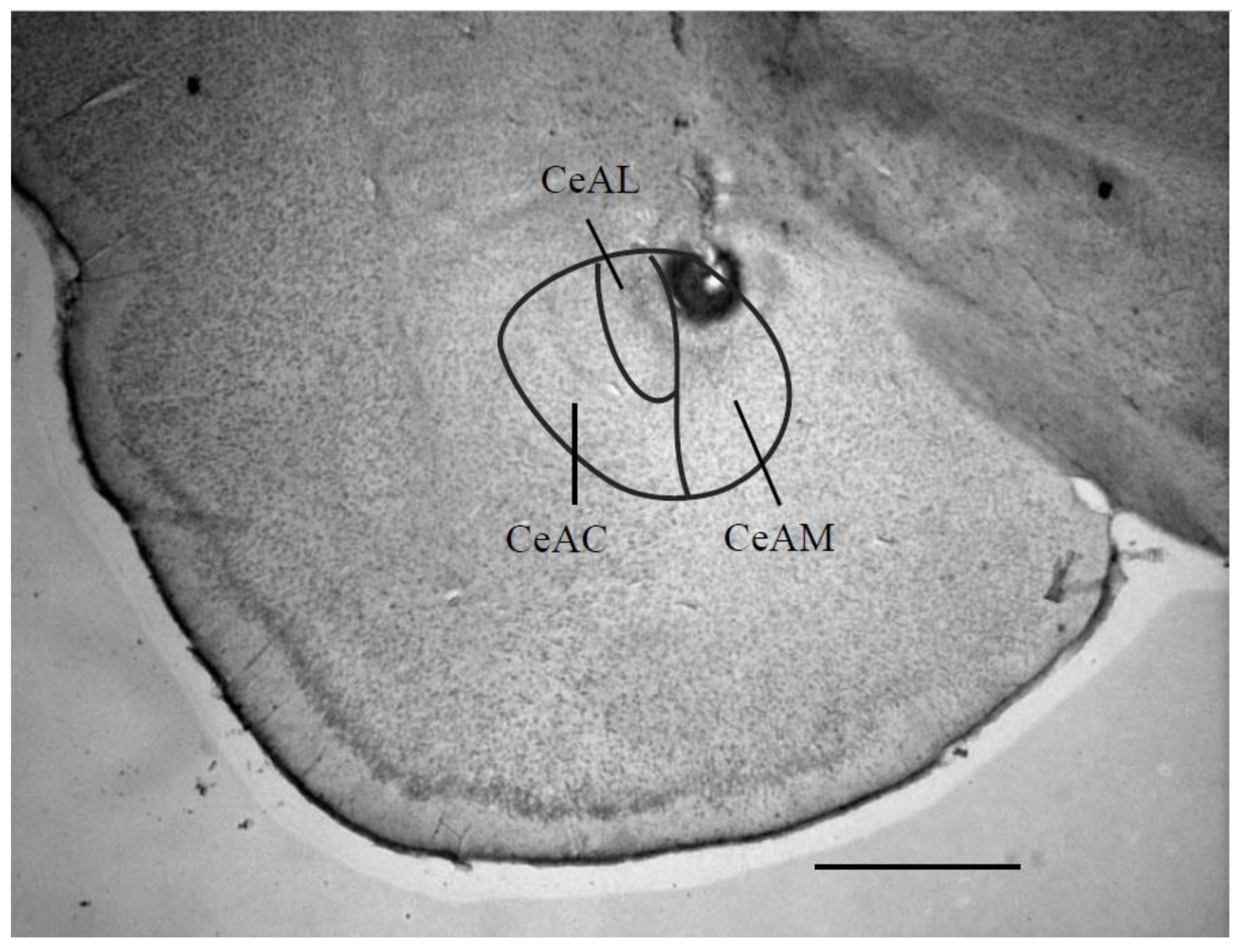 Life 10 00190 g002 Life 10 00190 g002