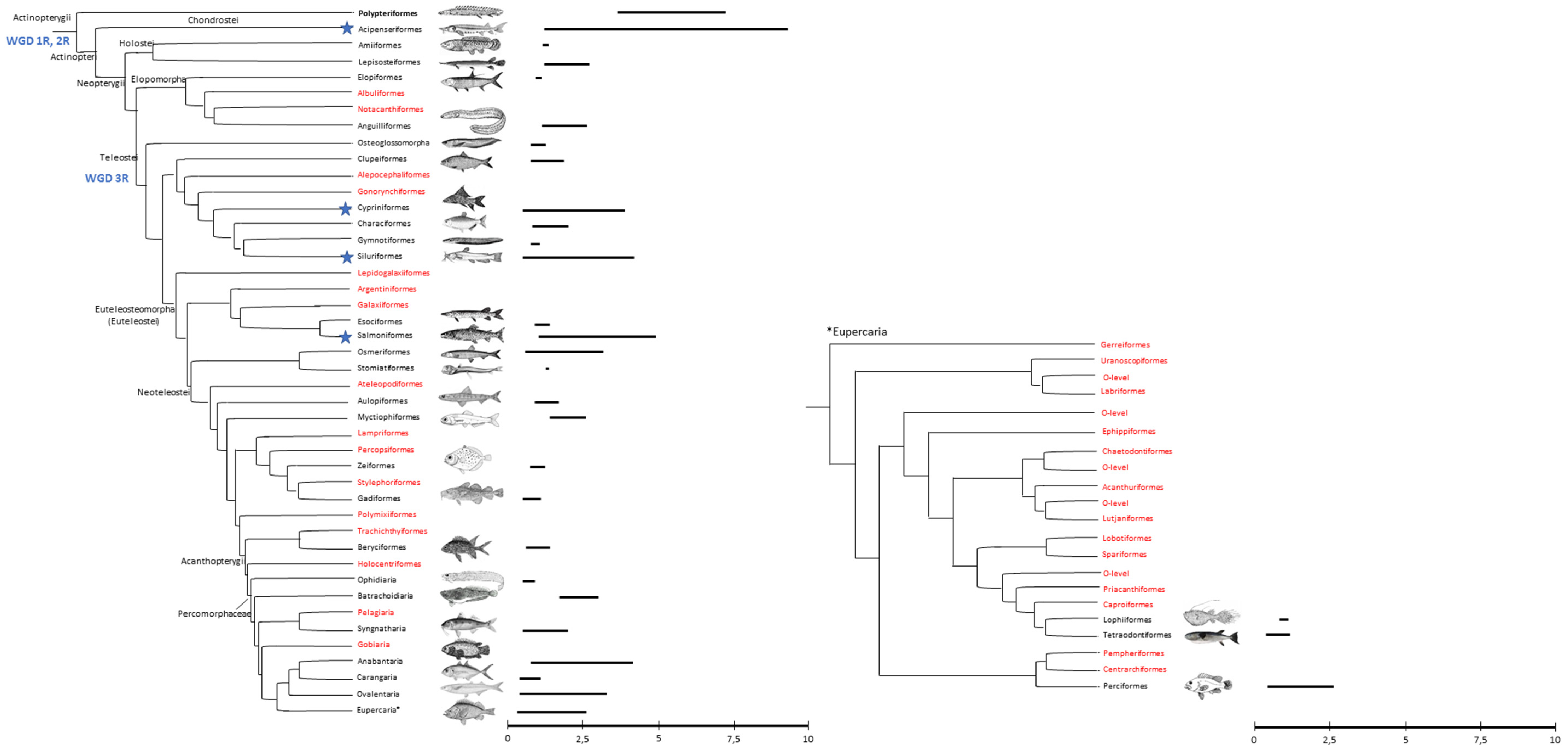 Life 10 00221 g001 Life 10 00221 g001