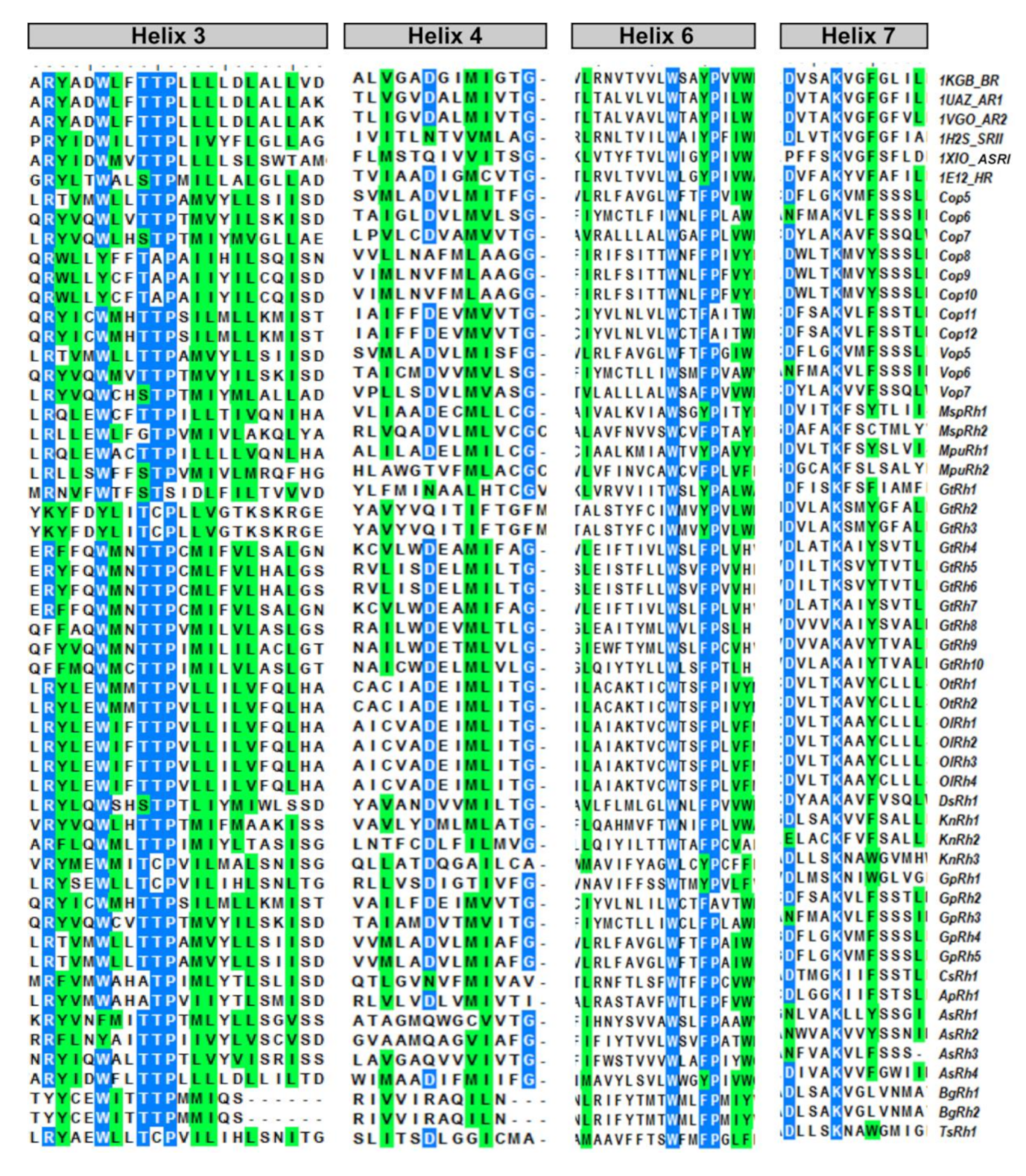 Life 10 00259 g003 Life 10 00259 g003