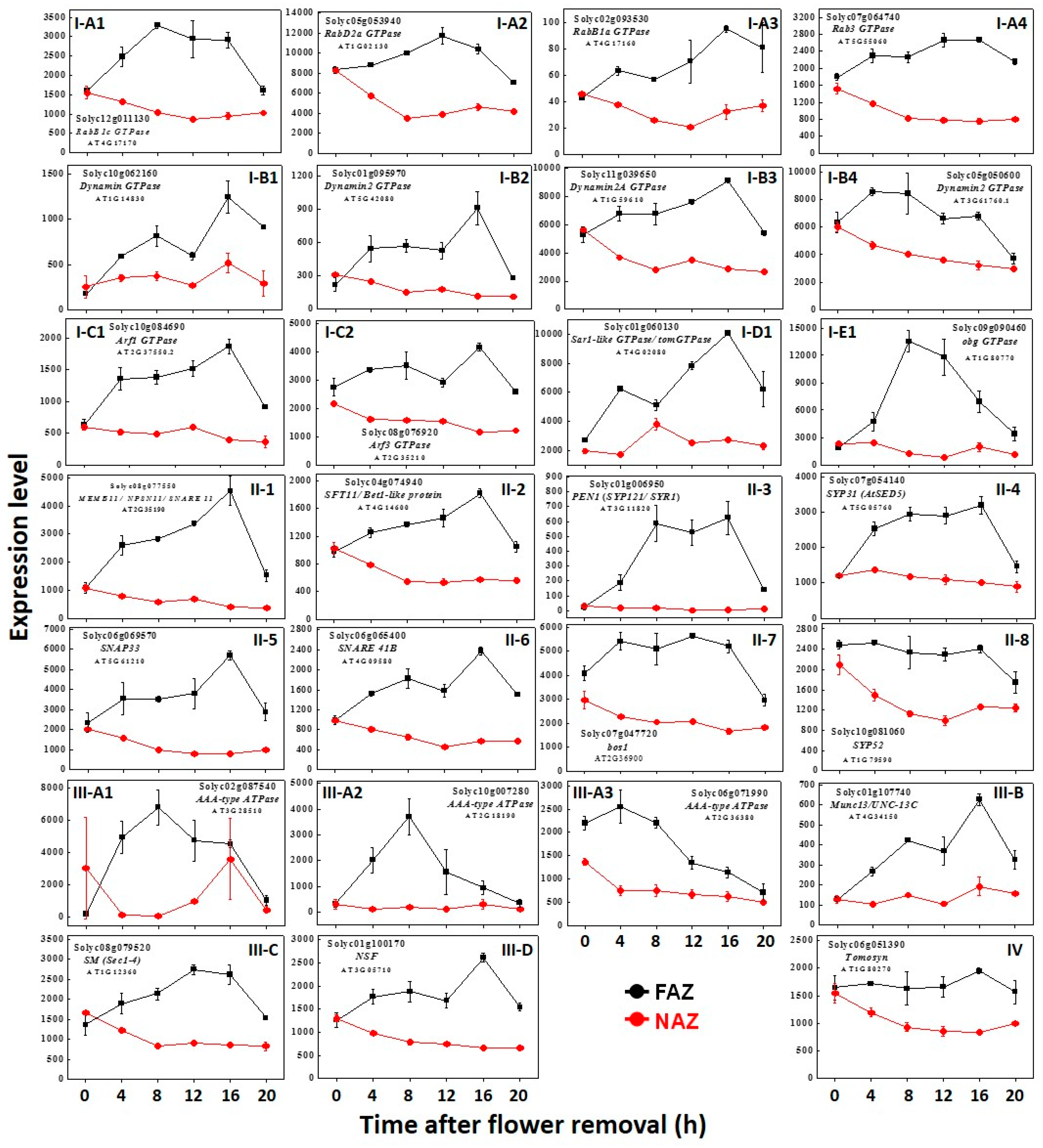 Life 10 00273 g001 Life 10 00273 g001
