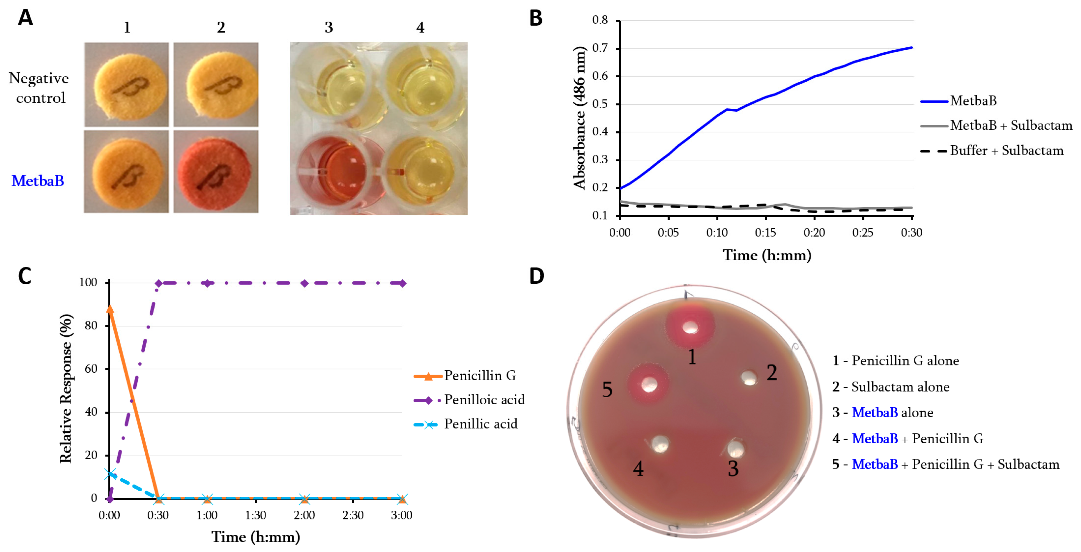 Life 10 00280 g002 Life 10 00280 g002