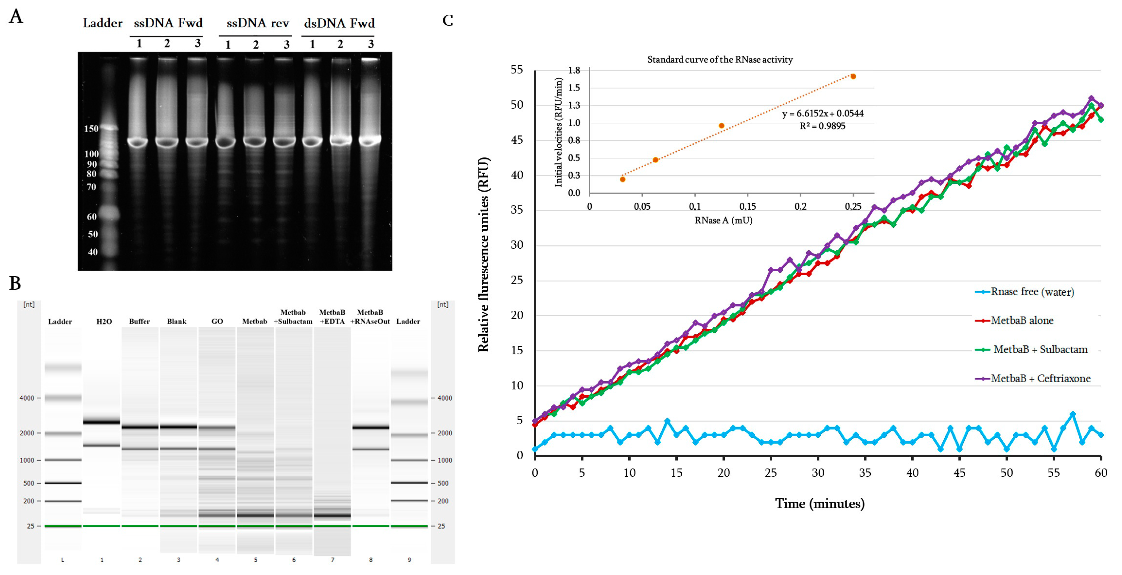 Life 10 00280 g003 Life 10 00280 g003