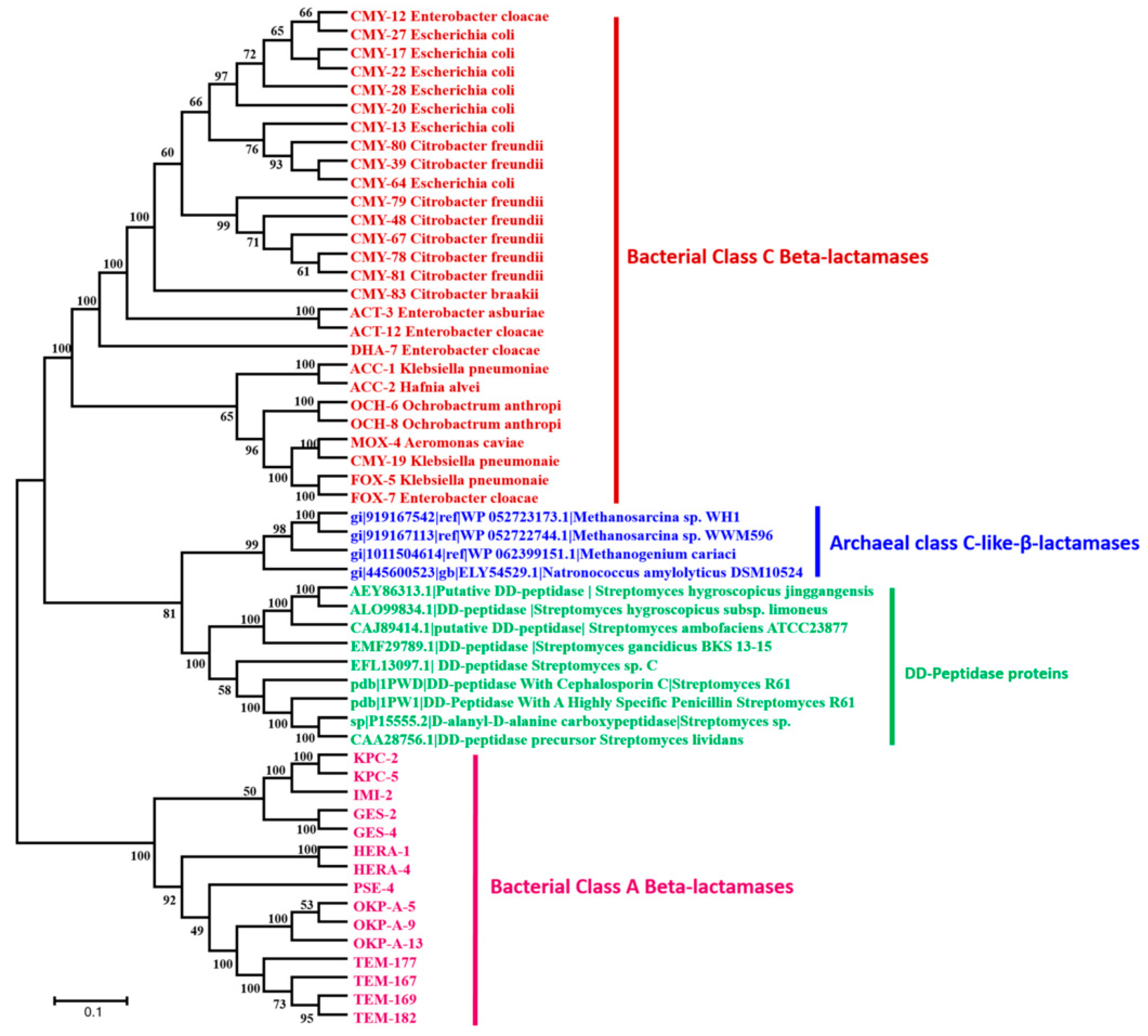 Life 10 00280 g004 Life 10 00280 g004