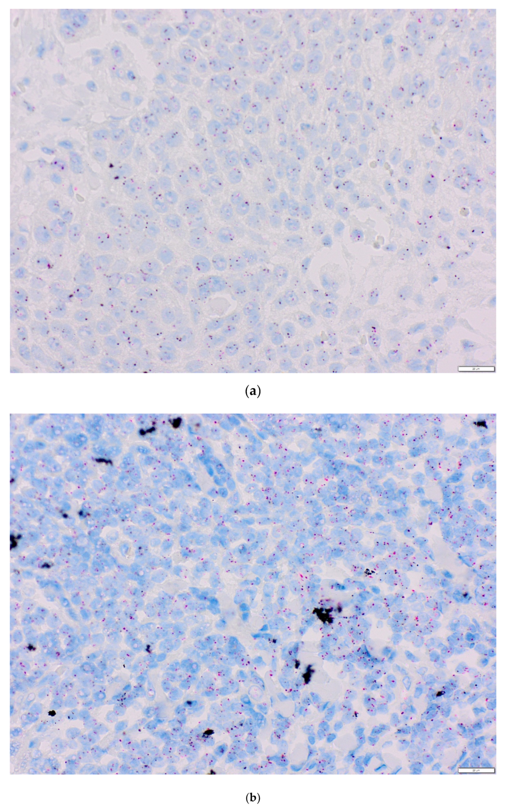 Life 10 00325 g004 Life 10 00325 g004