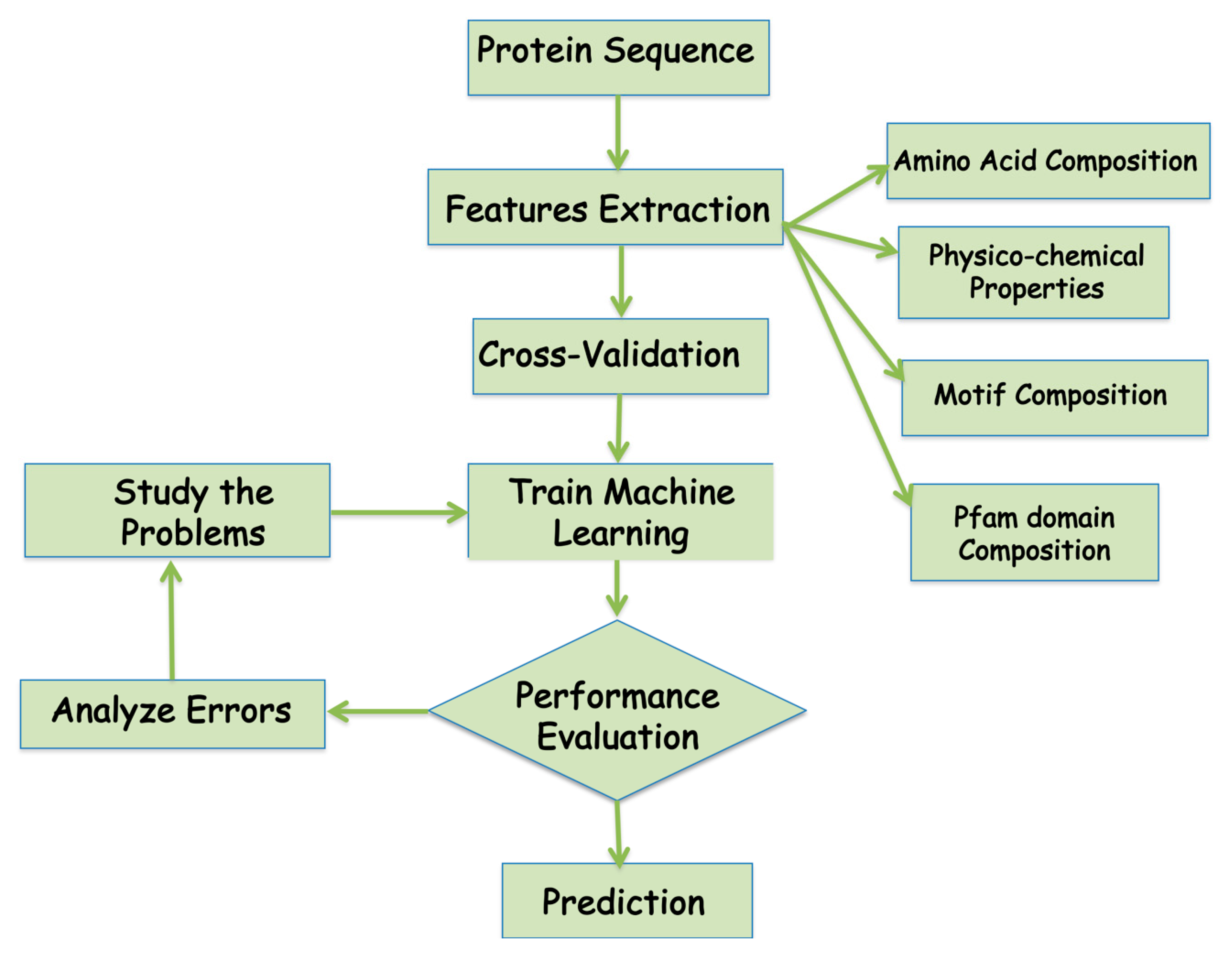 Life 10 00347 g003 Life 10 00347 g003