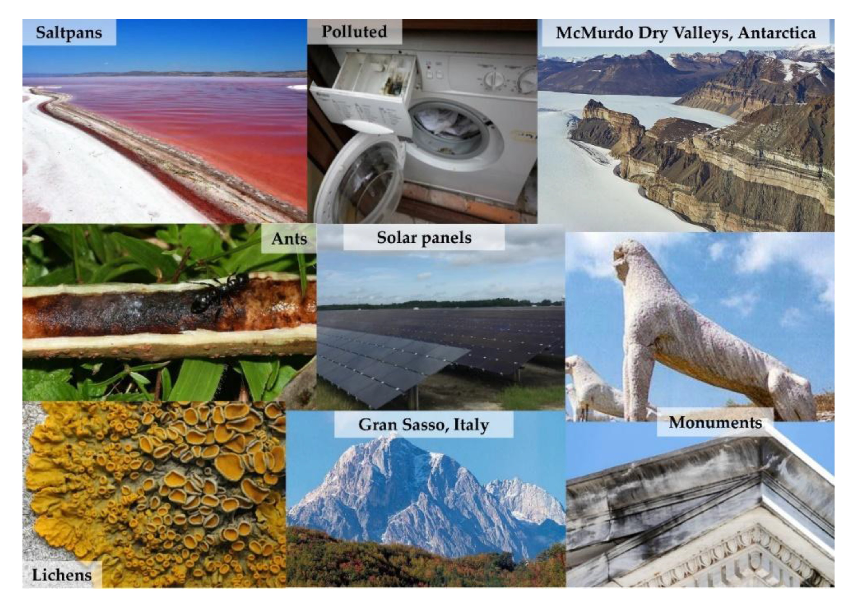 Life 10 00362 g002 Life 10 00362 g002