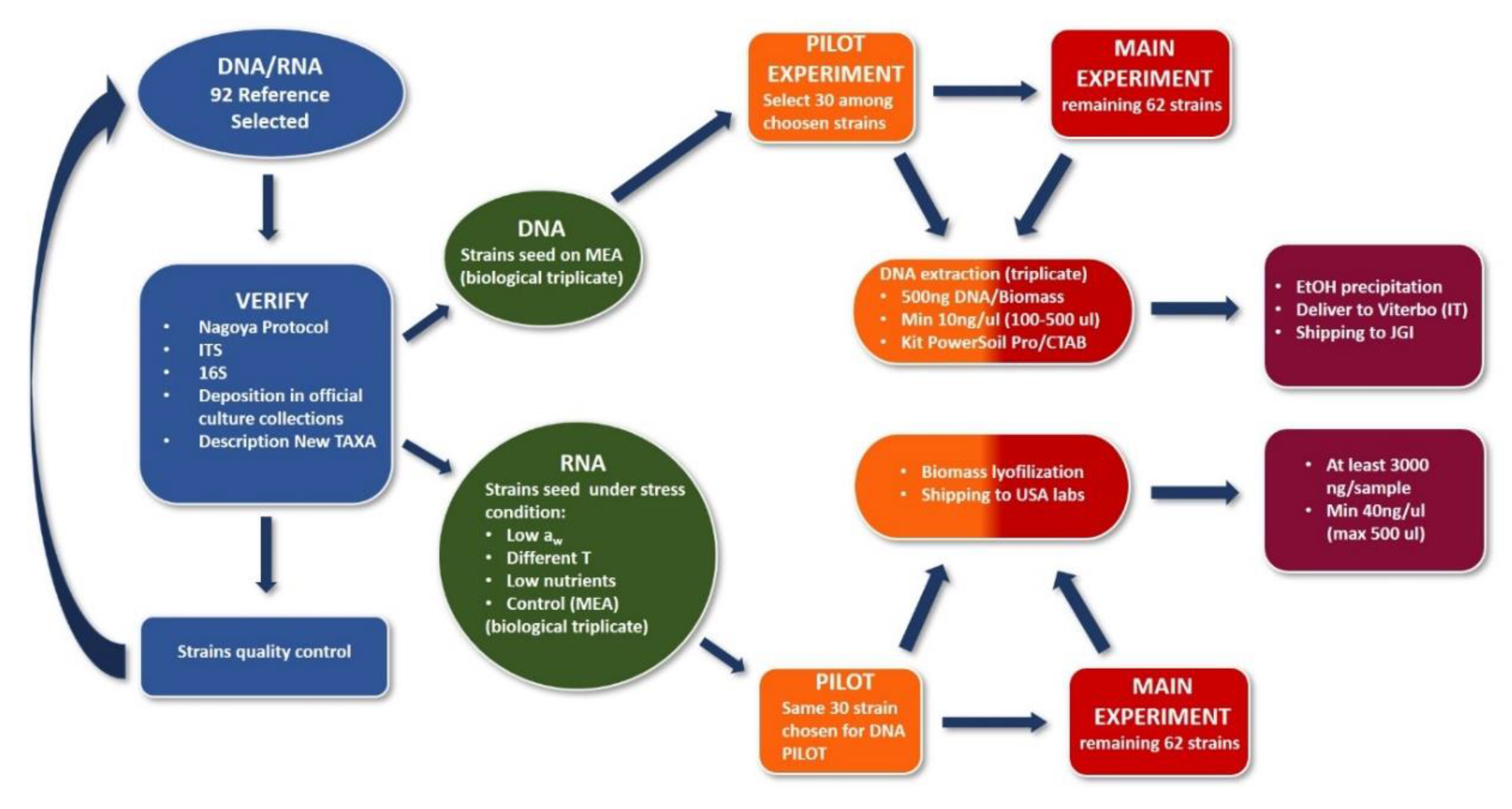 Life 10 00362 g003 Life 10 00362 g003