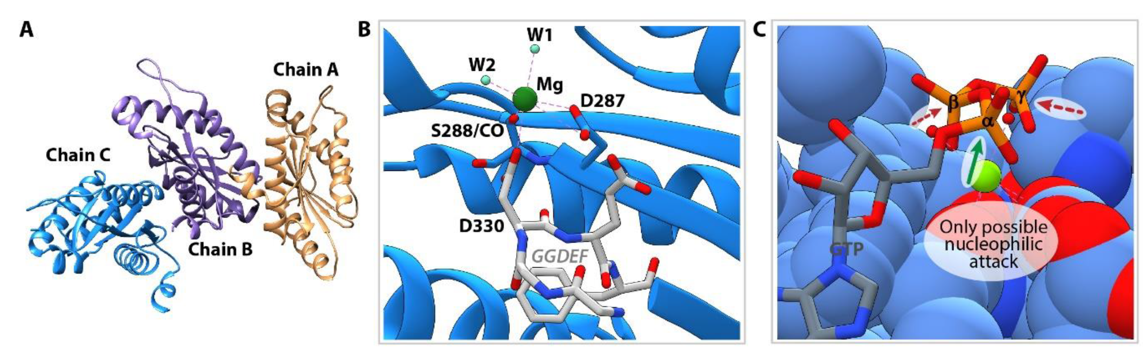 Life 11 00031 g005 Life 11 00031 g005