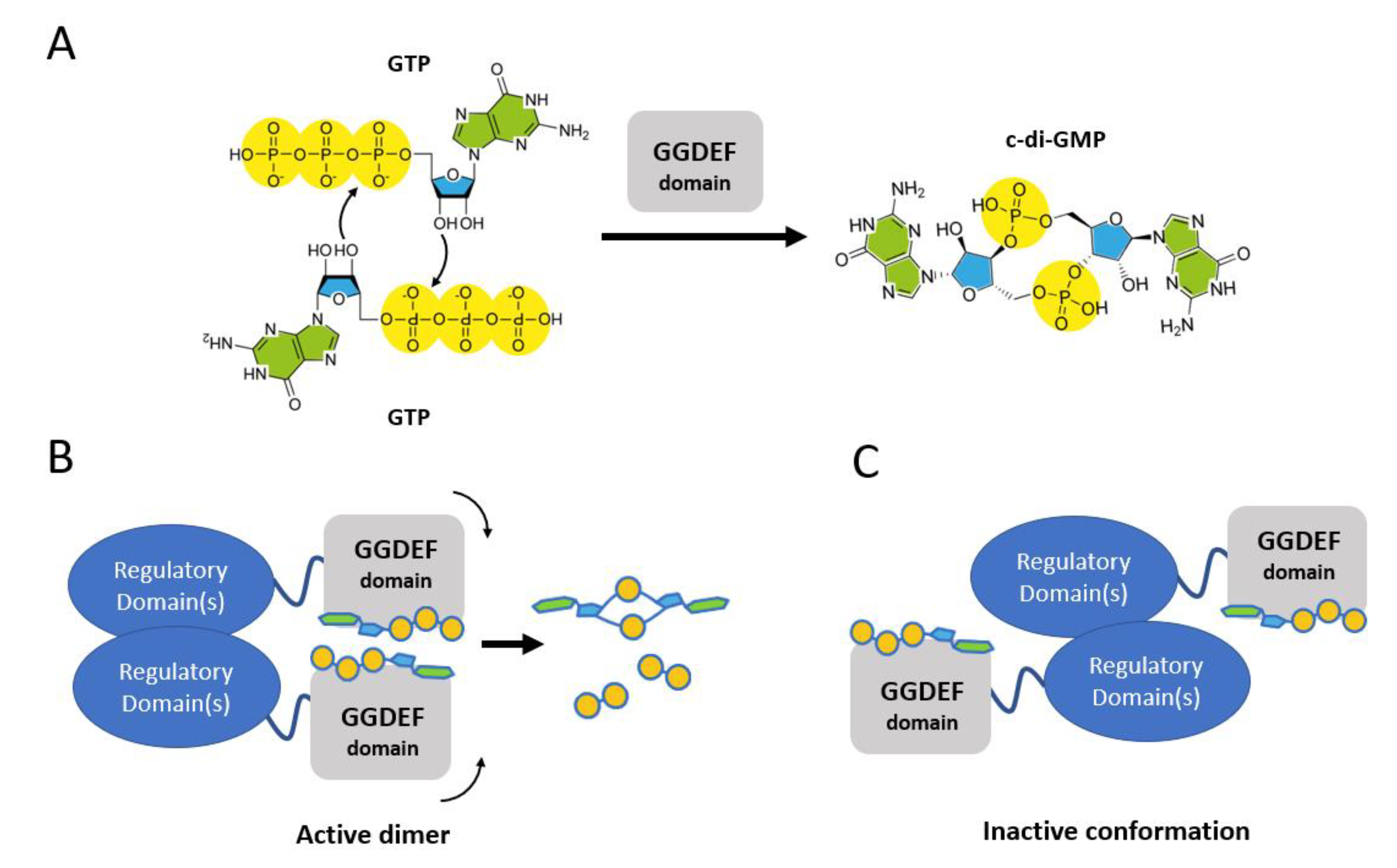 Life 11 00031 sch002 Life 11 00031 sch002