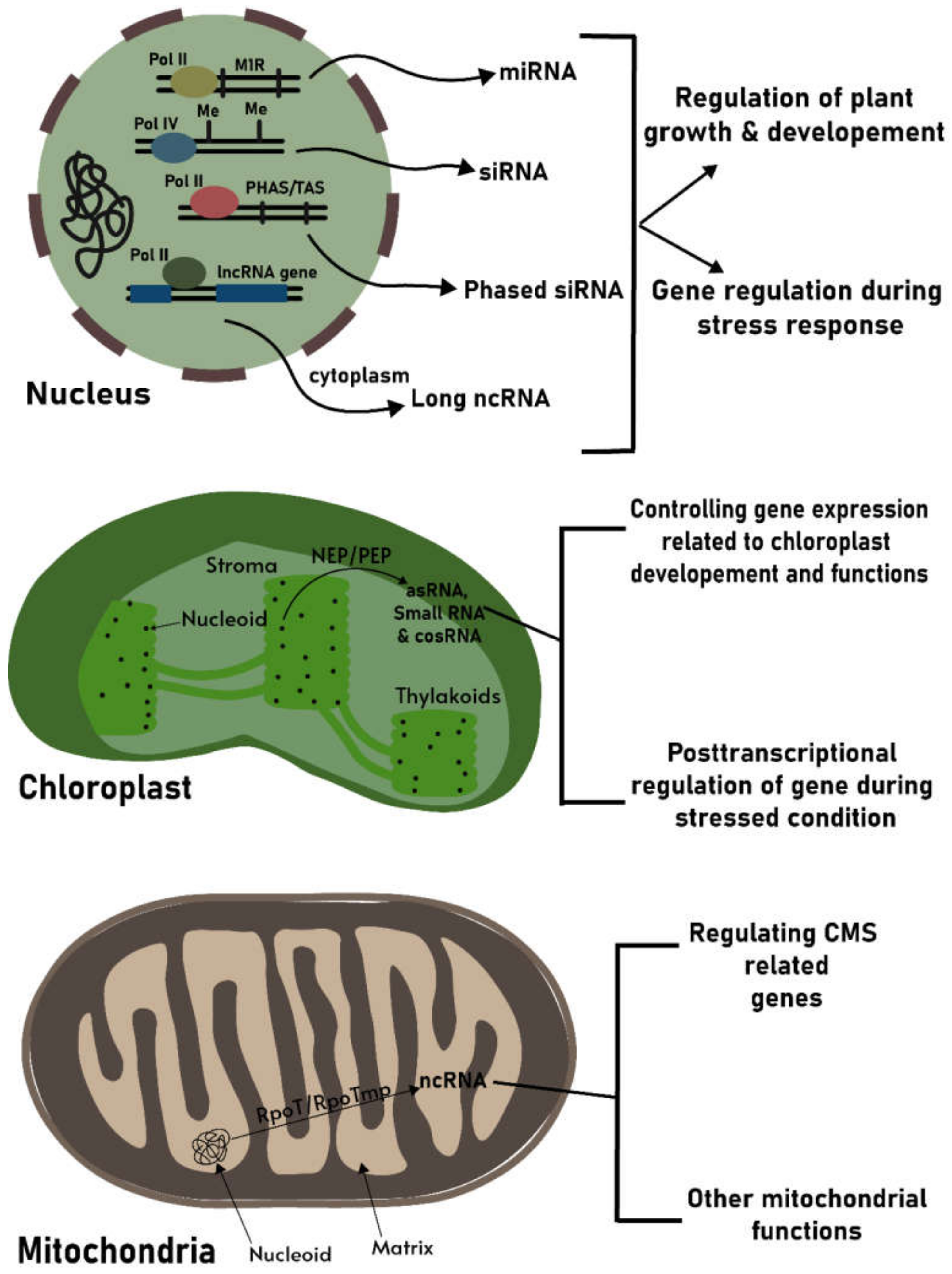 Life 11 00049 g001 Life 11 00049 g001