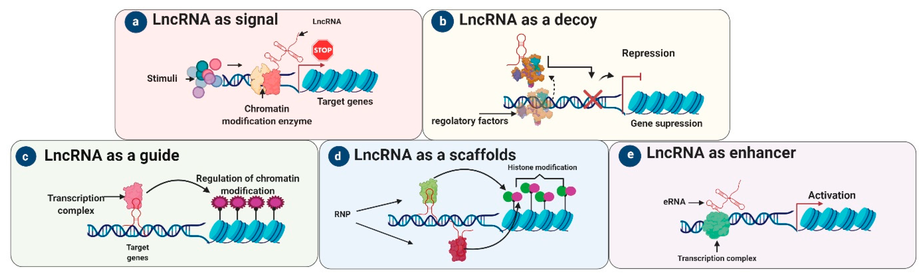 Life 11 00056 g003 Life 11 00056 g003