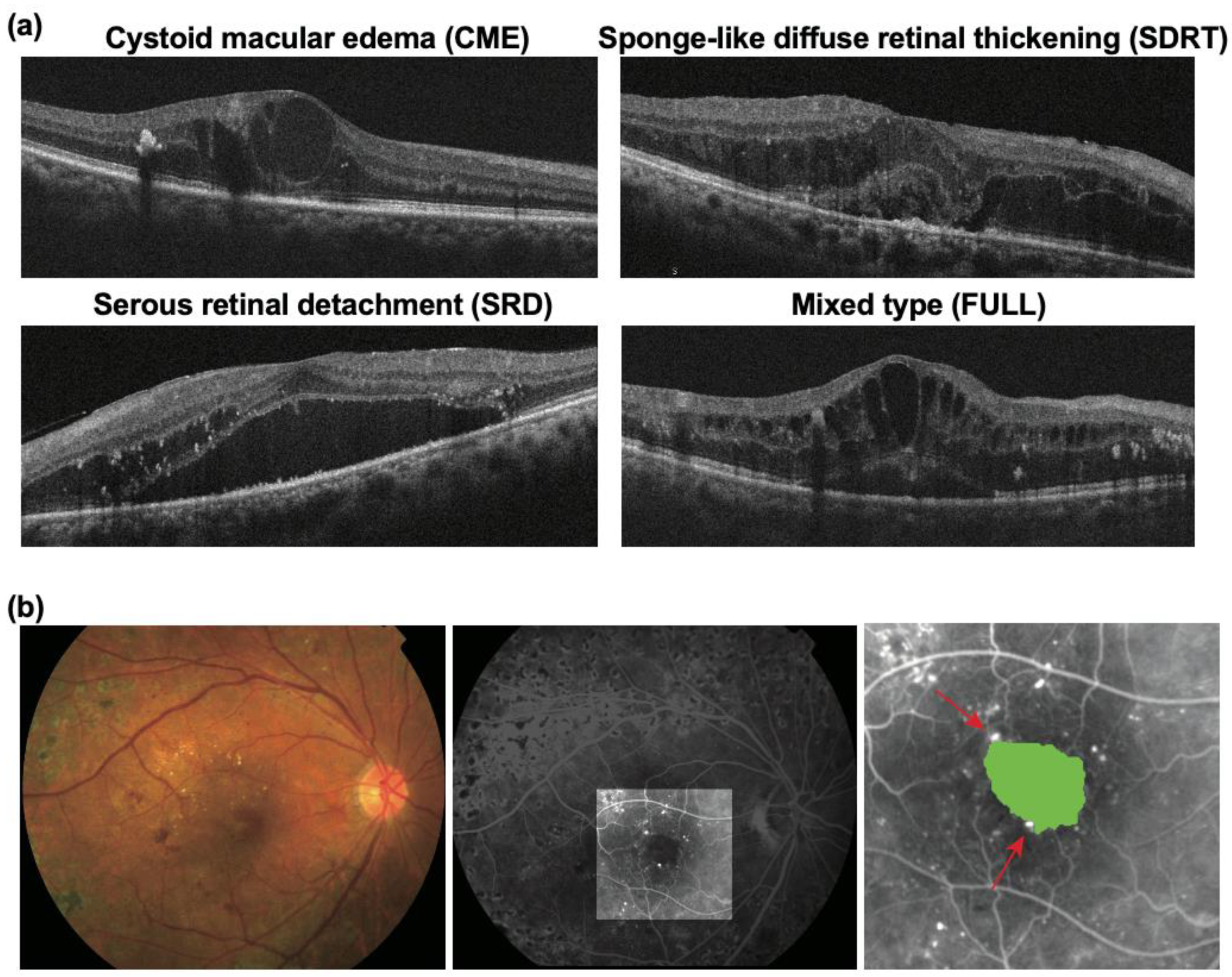 Life 11 00083 g001 Life 11 00083 g001