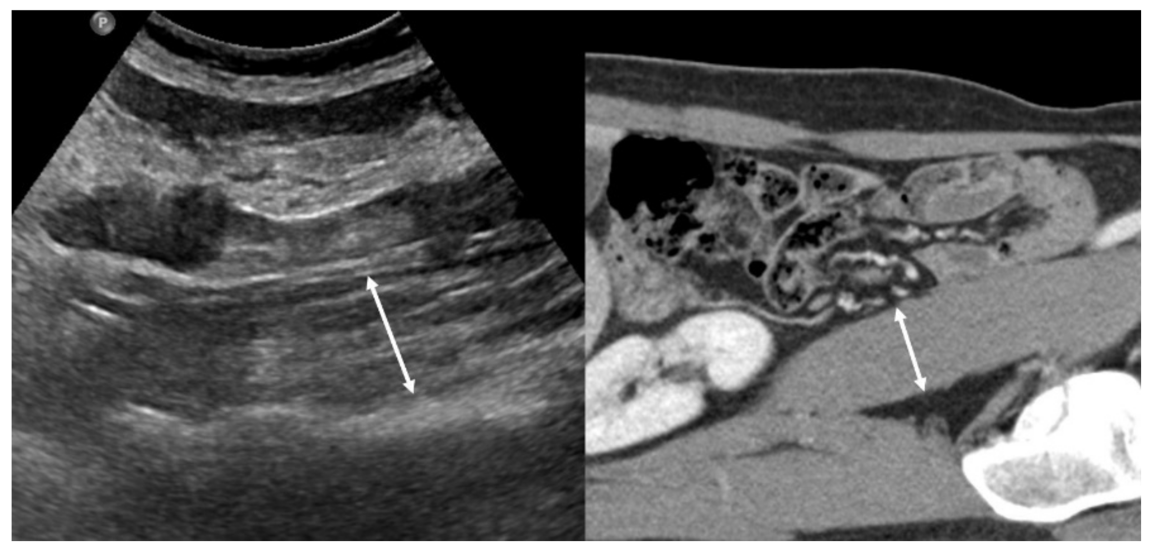 Life 11 00086 g002 Life 11 00086 g002