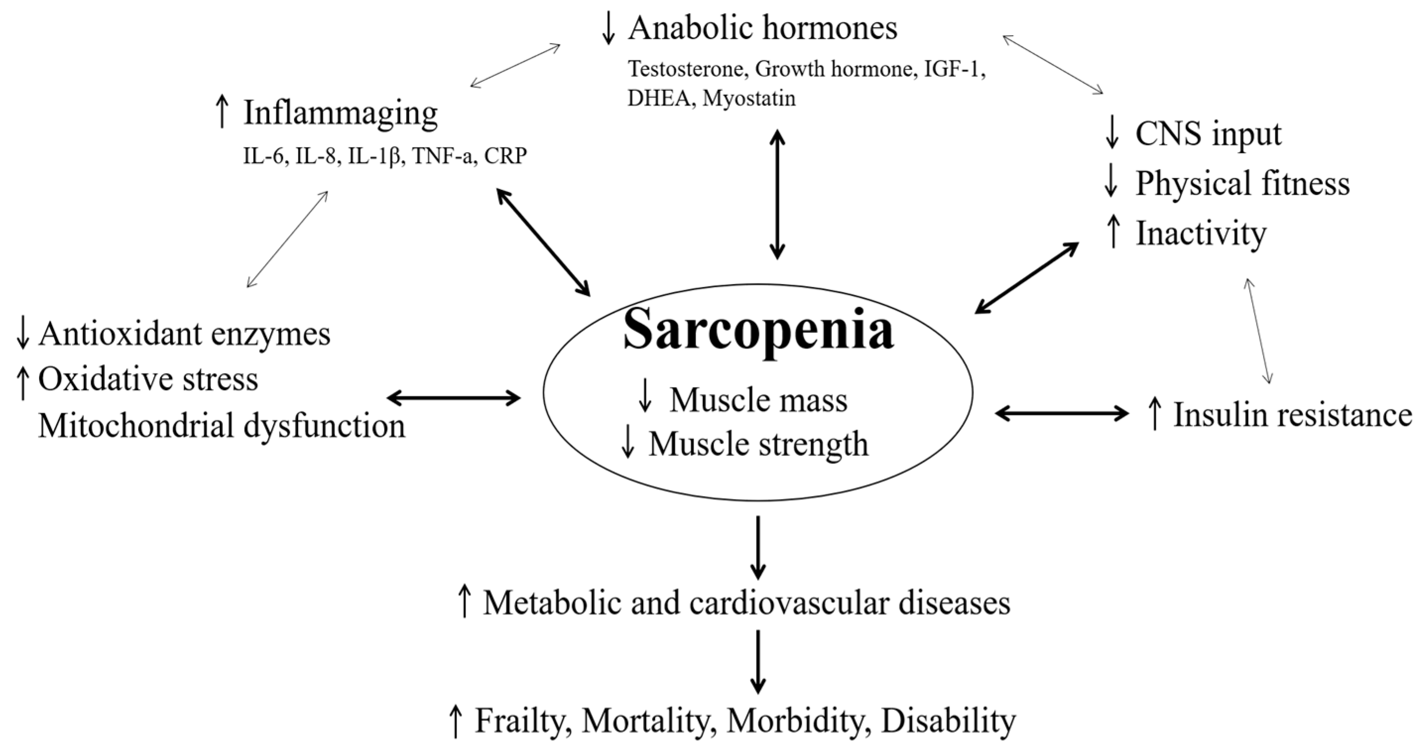 Life 11 00106 g001 Life 11 00106 g001