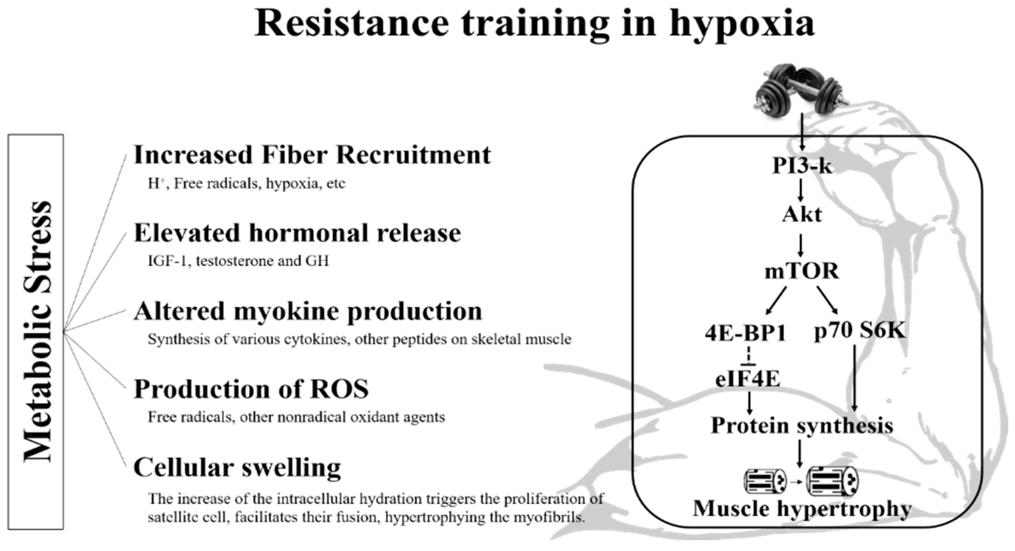 Life 11 00106 g002 Life 11 00106 g002