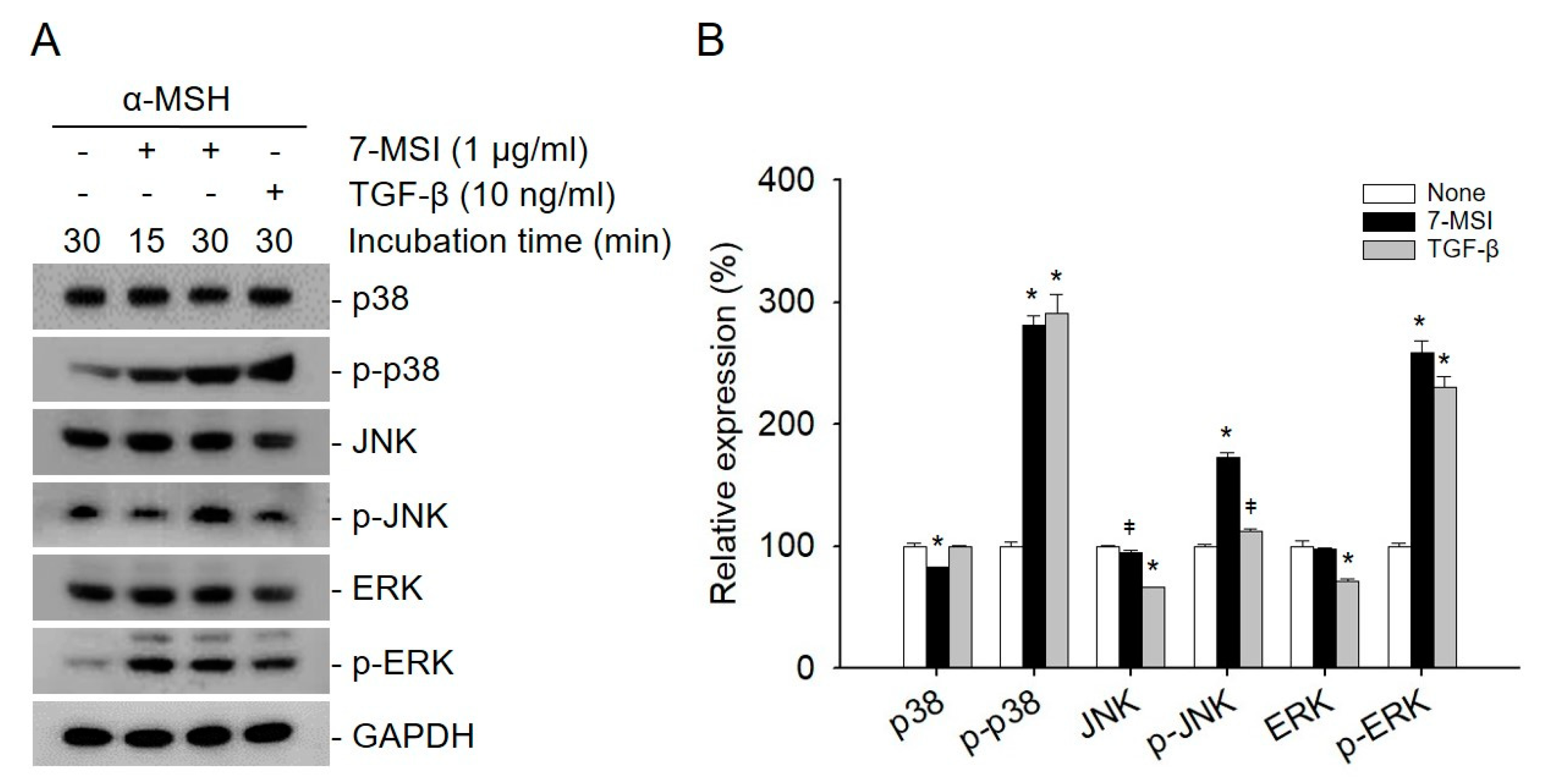 Life 11 00162 g002 Life 11 00162 g002