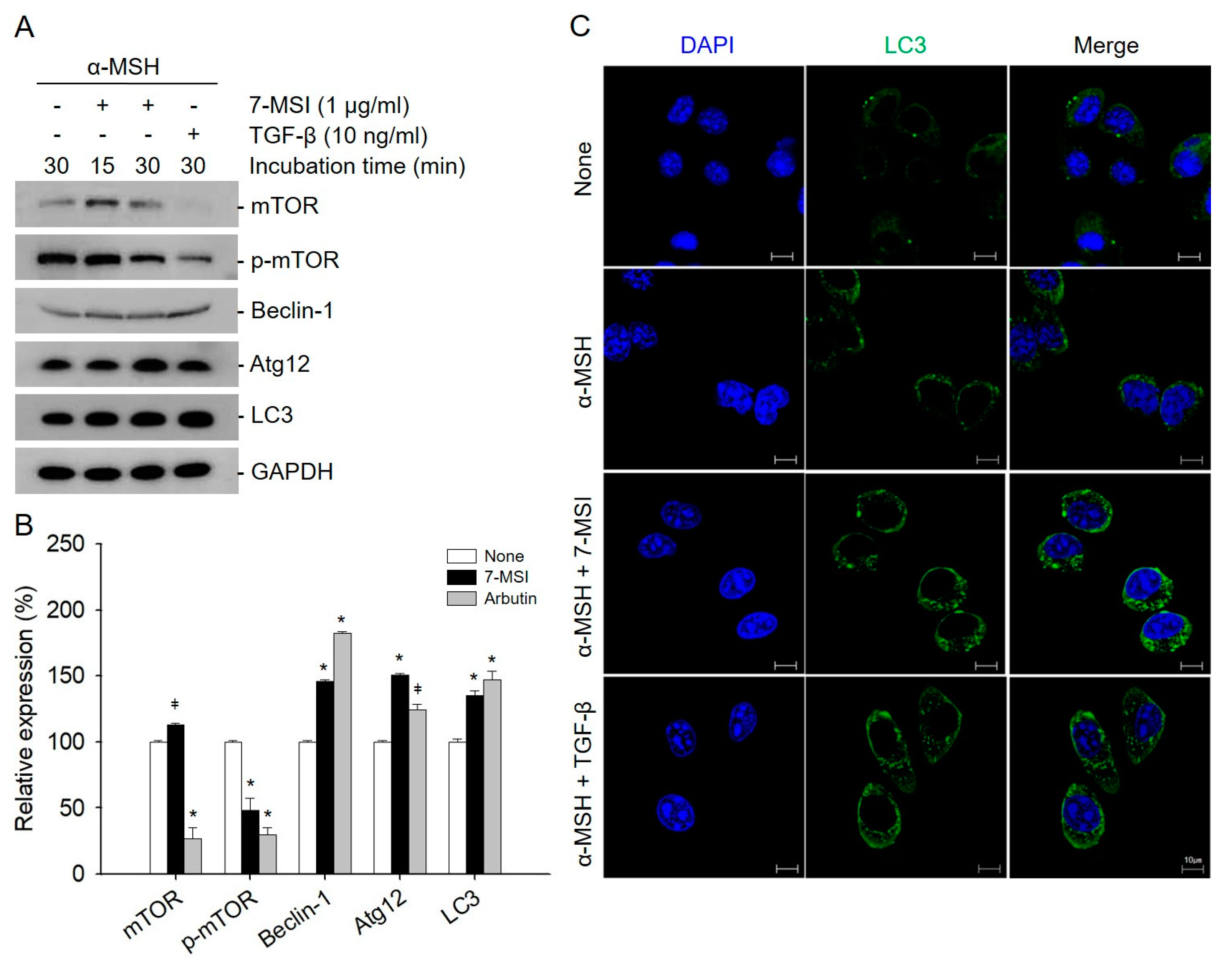 Life 11 00162 g003 Life 11 00162 g003
