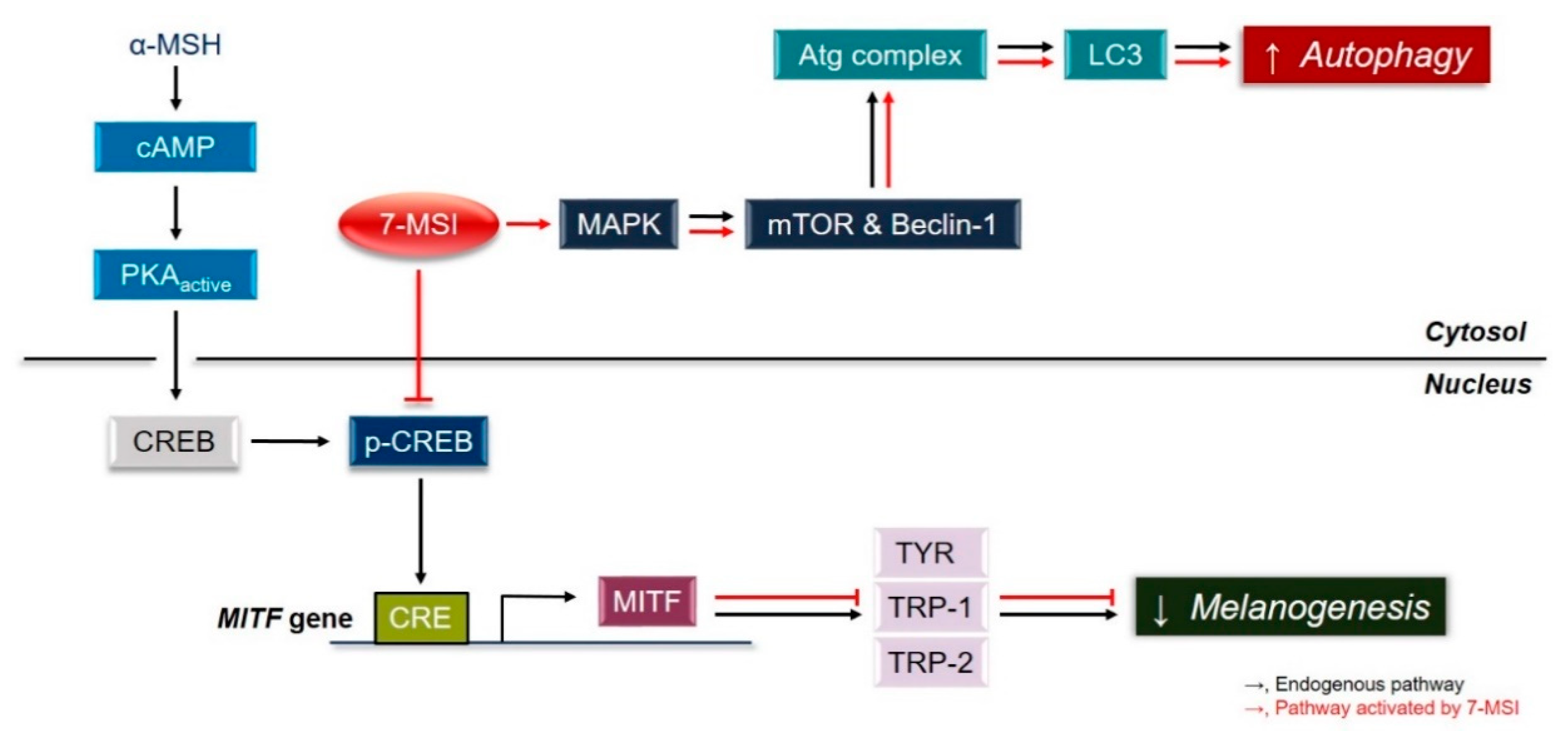 Life 11 00162 g004 Life 11 00162 g004